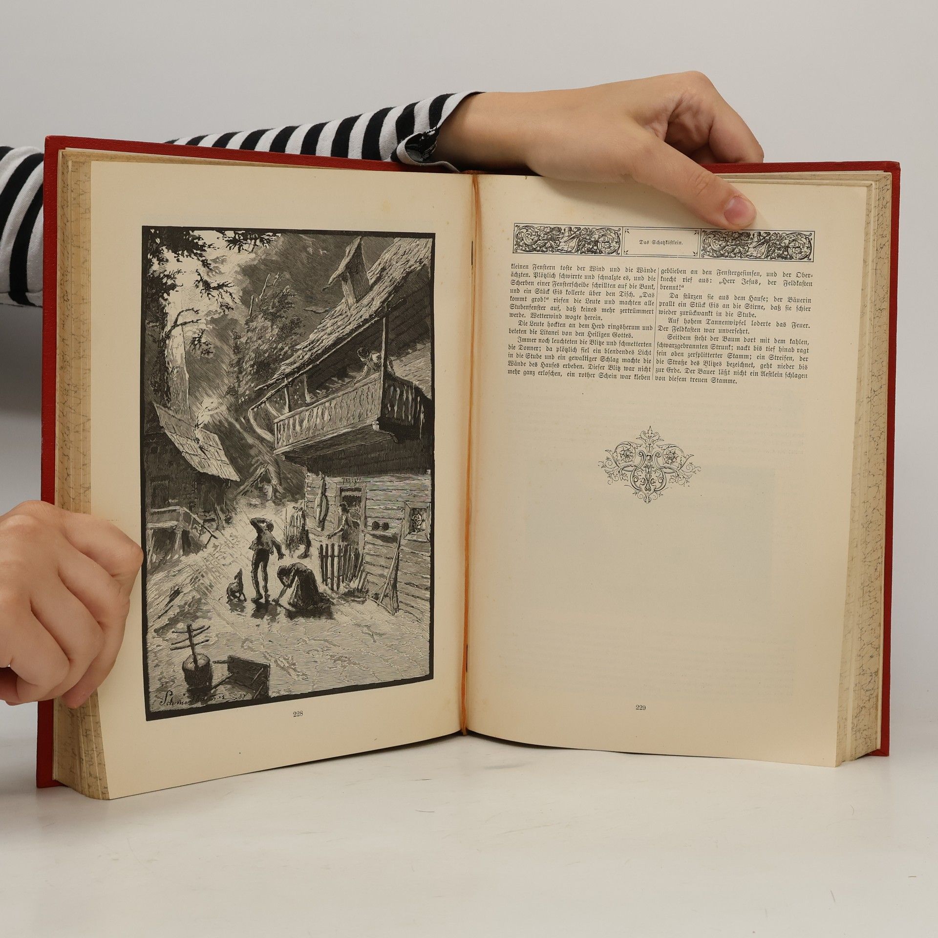 Peter Rosegger P. K. Rosegger's Ausgewählte Werke 4
