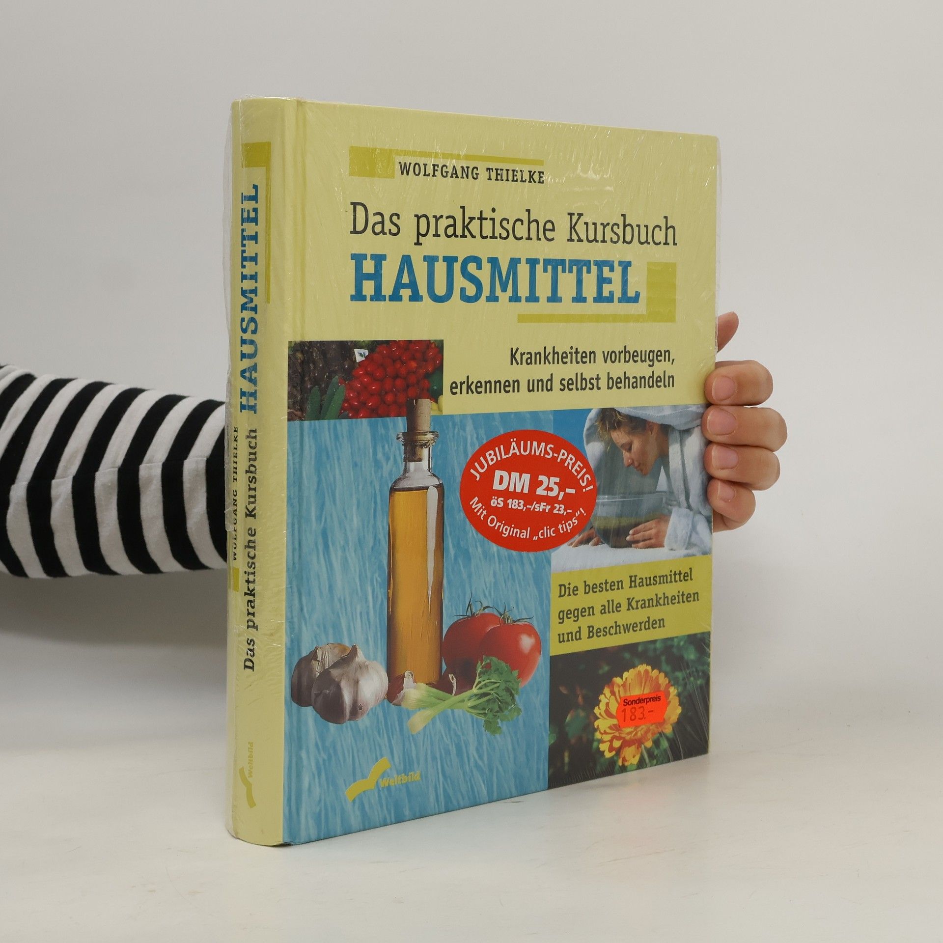 Wolfgang Thielke Das praktische Kursbuch Hausmittel