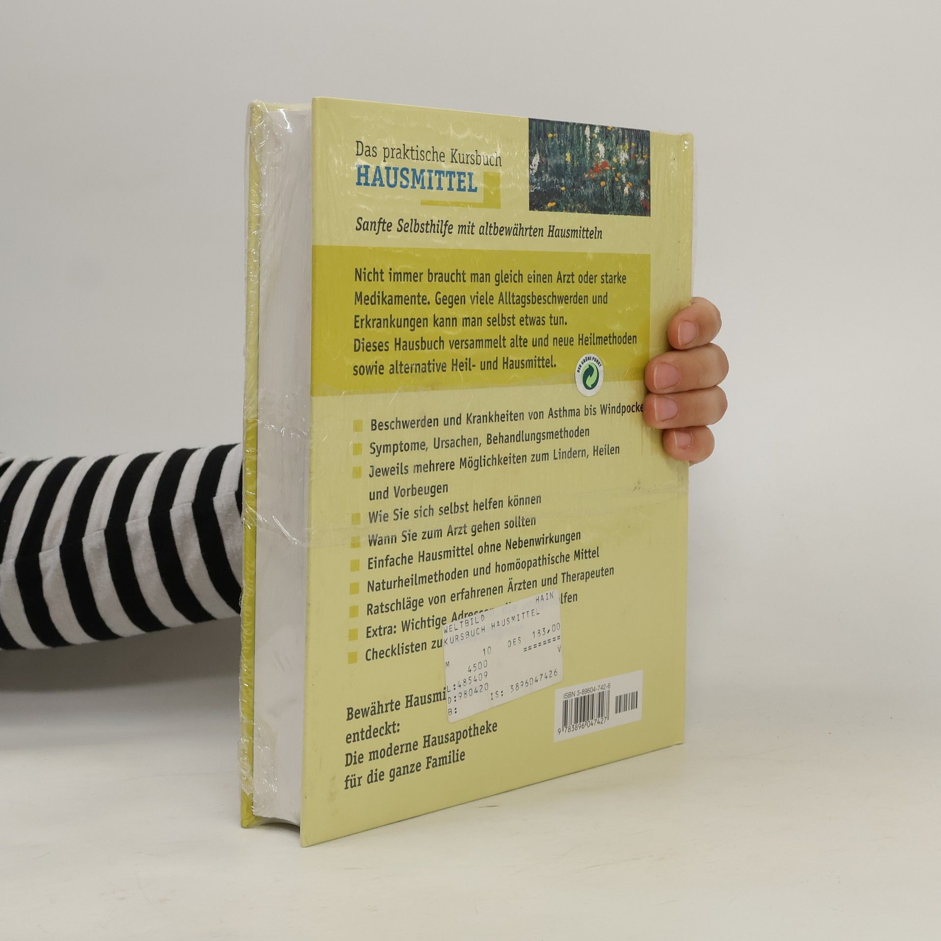 Wolfgang Thielke Das praktische Kursbuch Hausmittel