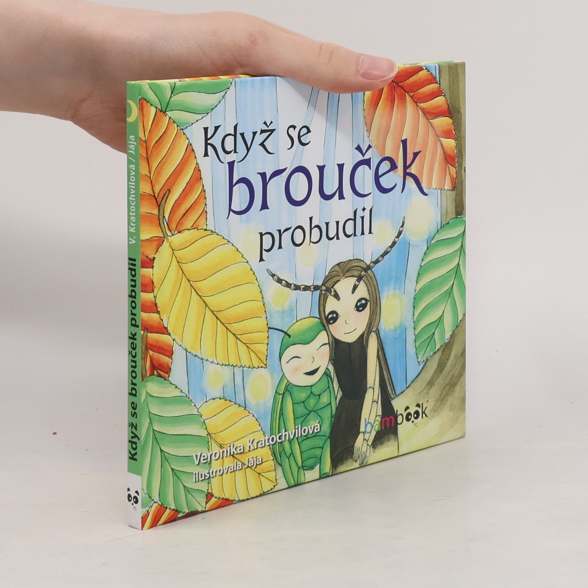 Veronika Kratochvílová Když se brouček probudil