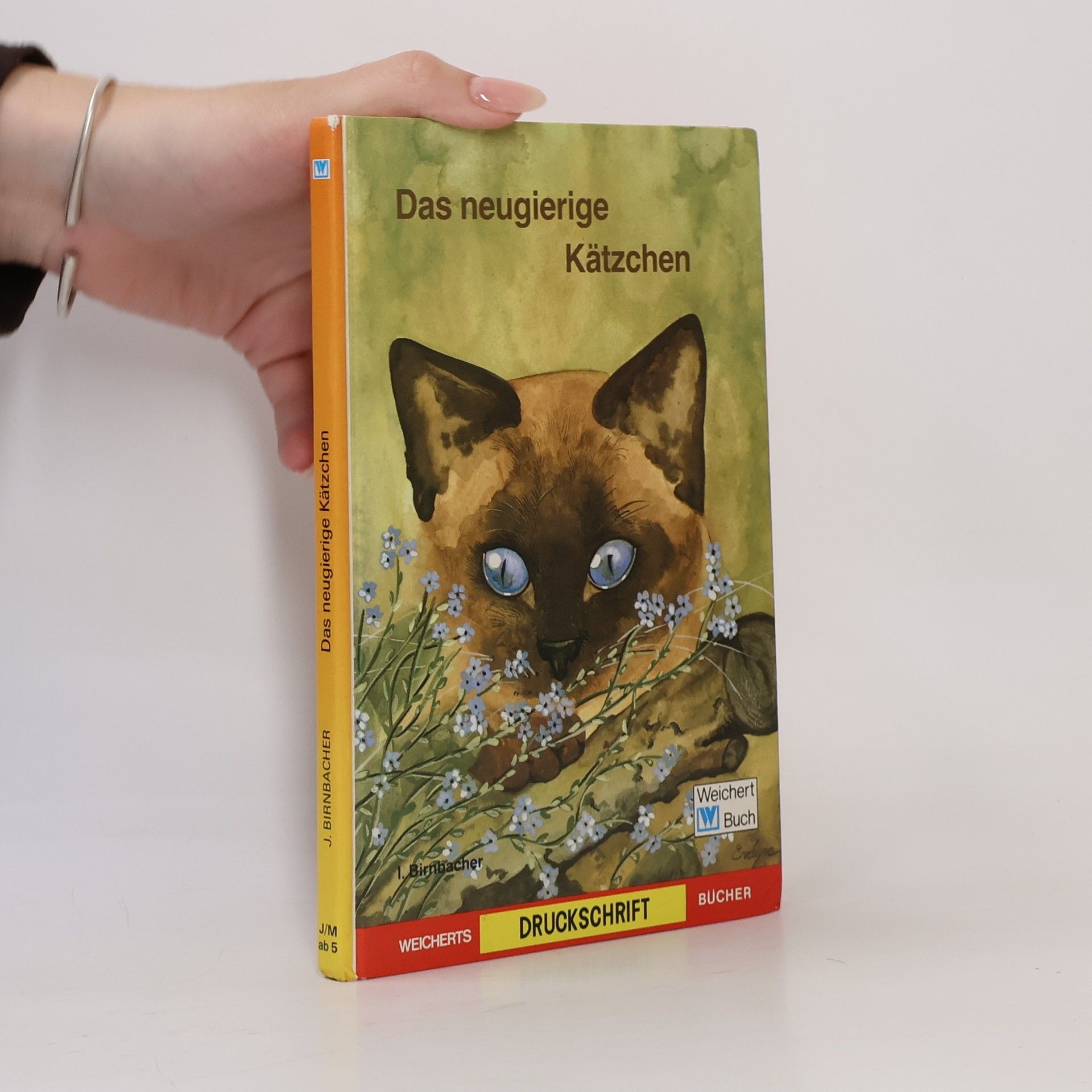Ingrid Birnbacher Das neugierige Kätzchen