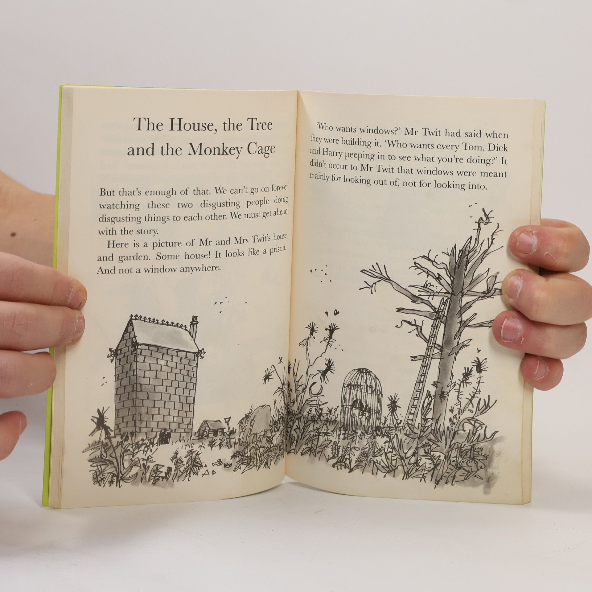 Roald Dahl The Twits