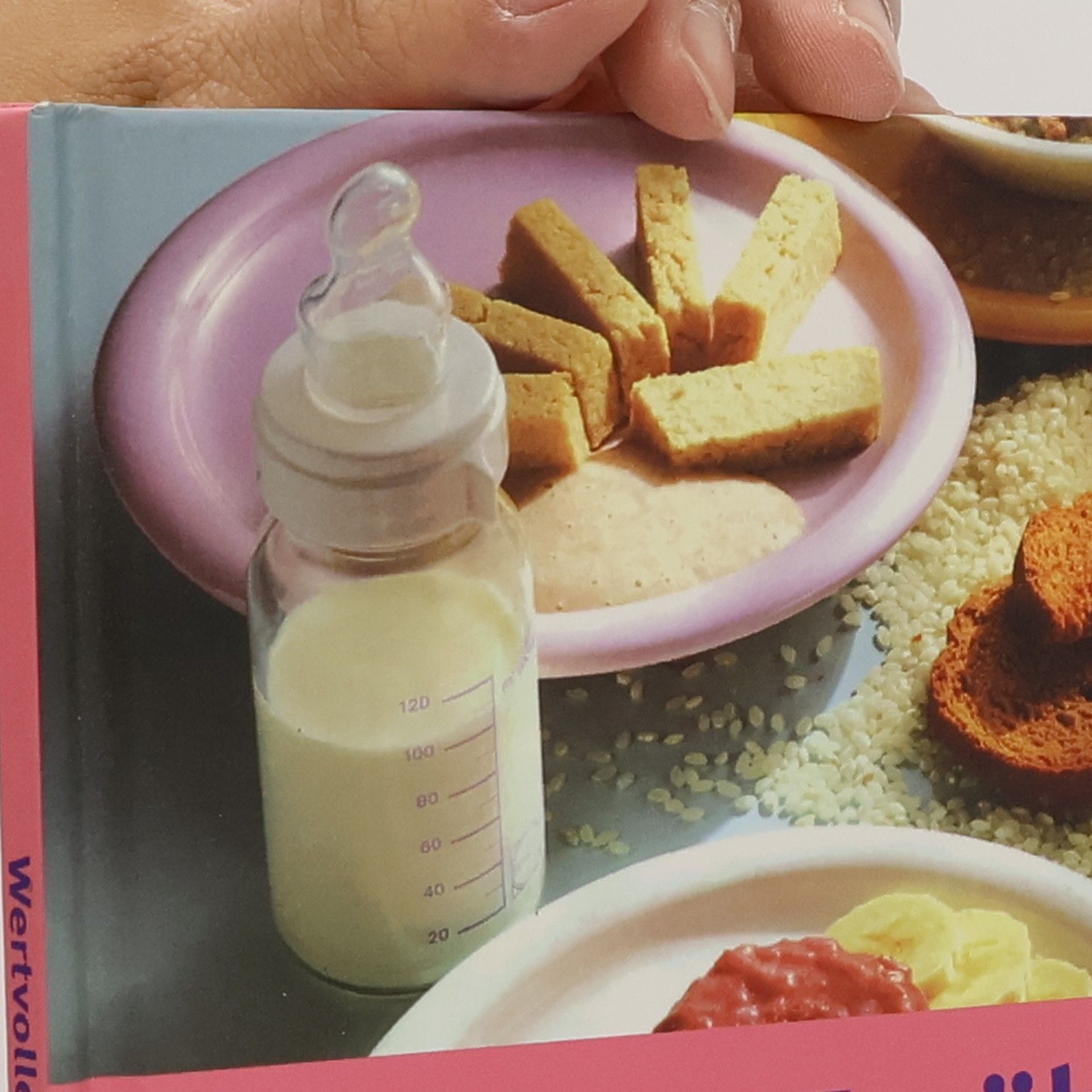 Odette Teubner Wertvolle Ernährung für Babys