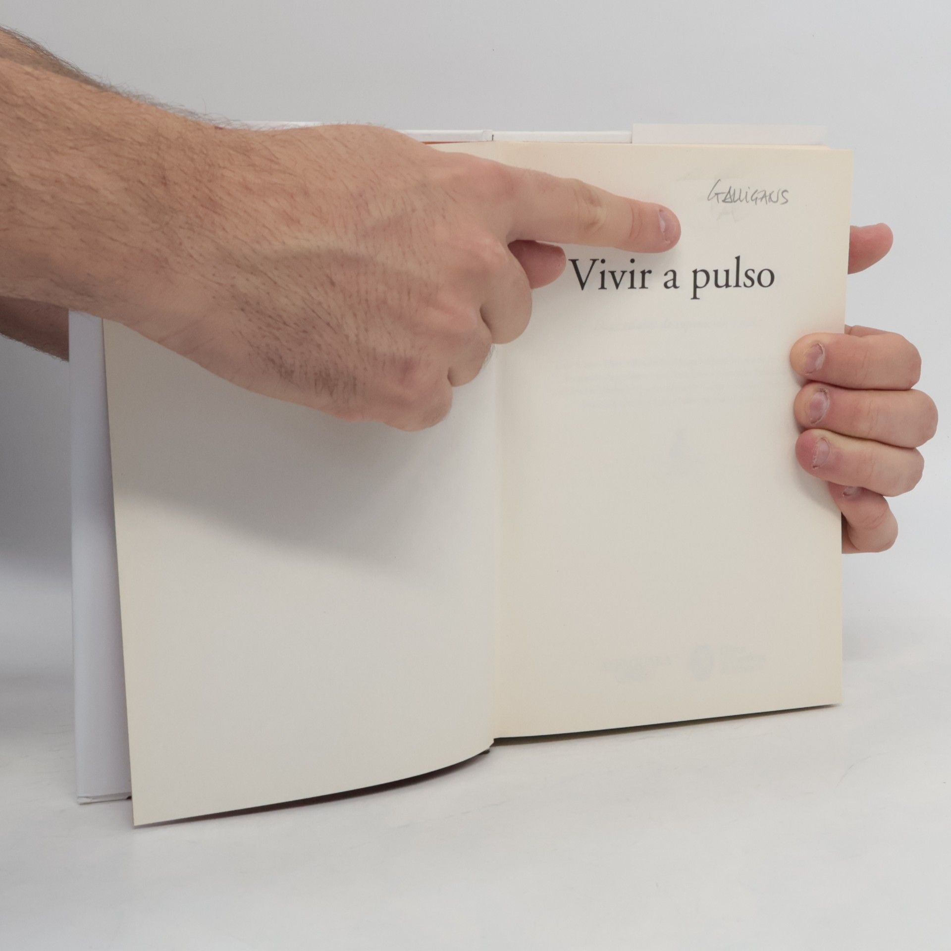 Luis Mateo Díez Vivir a pulso