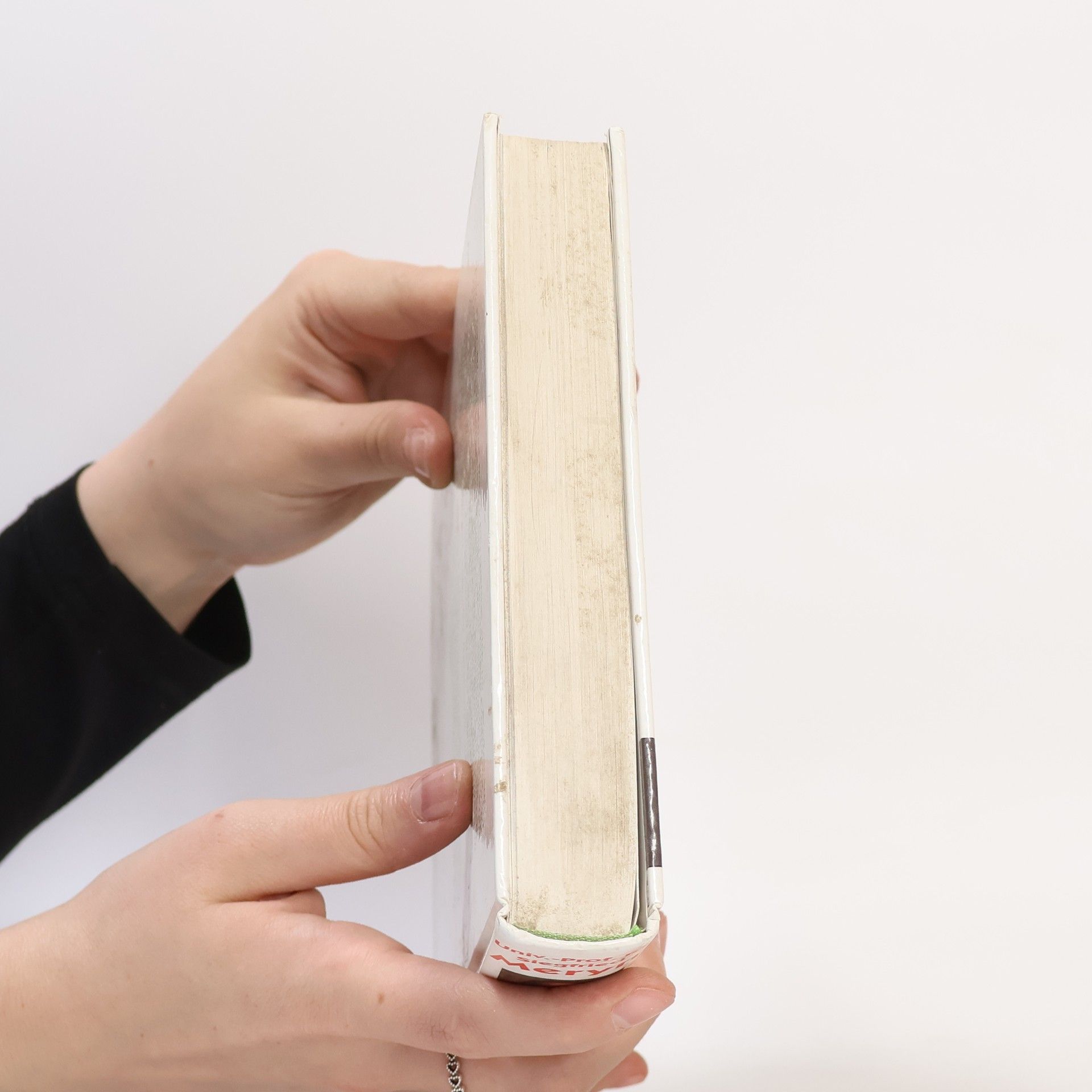 Siegfried Meryn Das große ORF-Ernährungsbuch