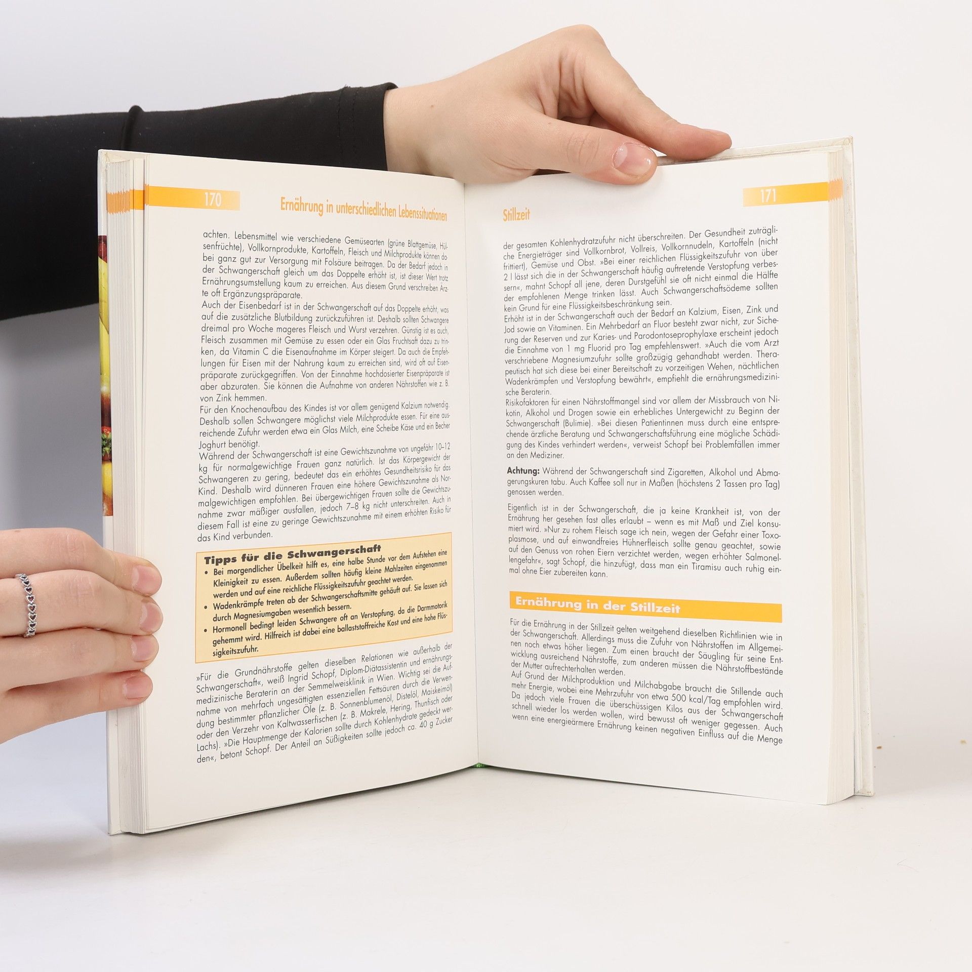 Siegfried Meryn Das große ORF-Ernährungsbuch
