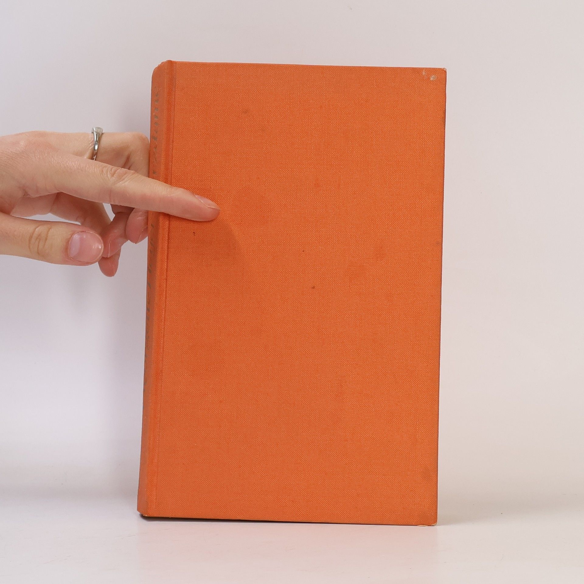 Georgette Heyer Herzdame