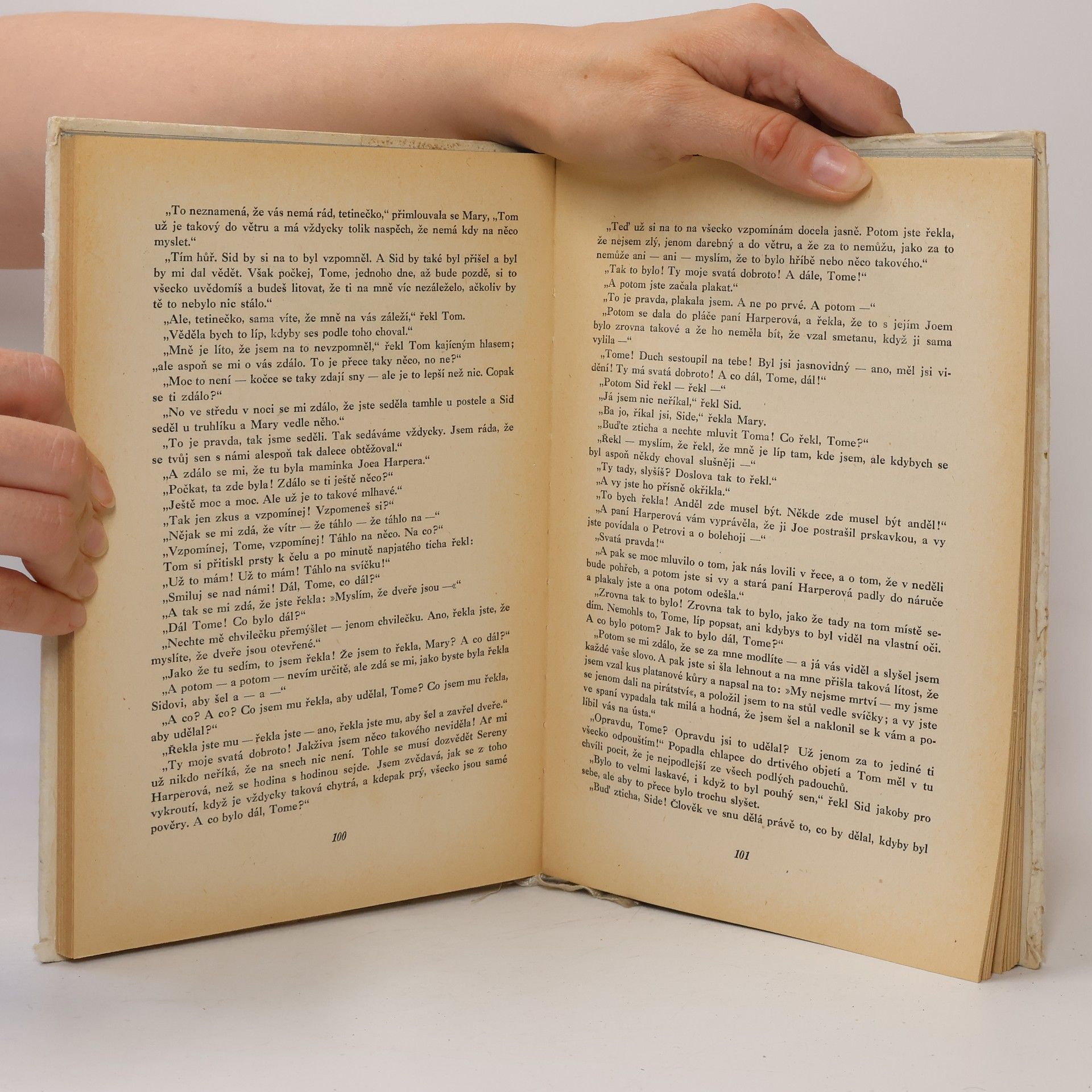 Mark Twain Dobrodružství Toma Sawyera