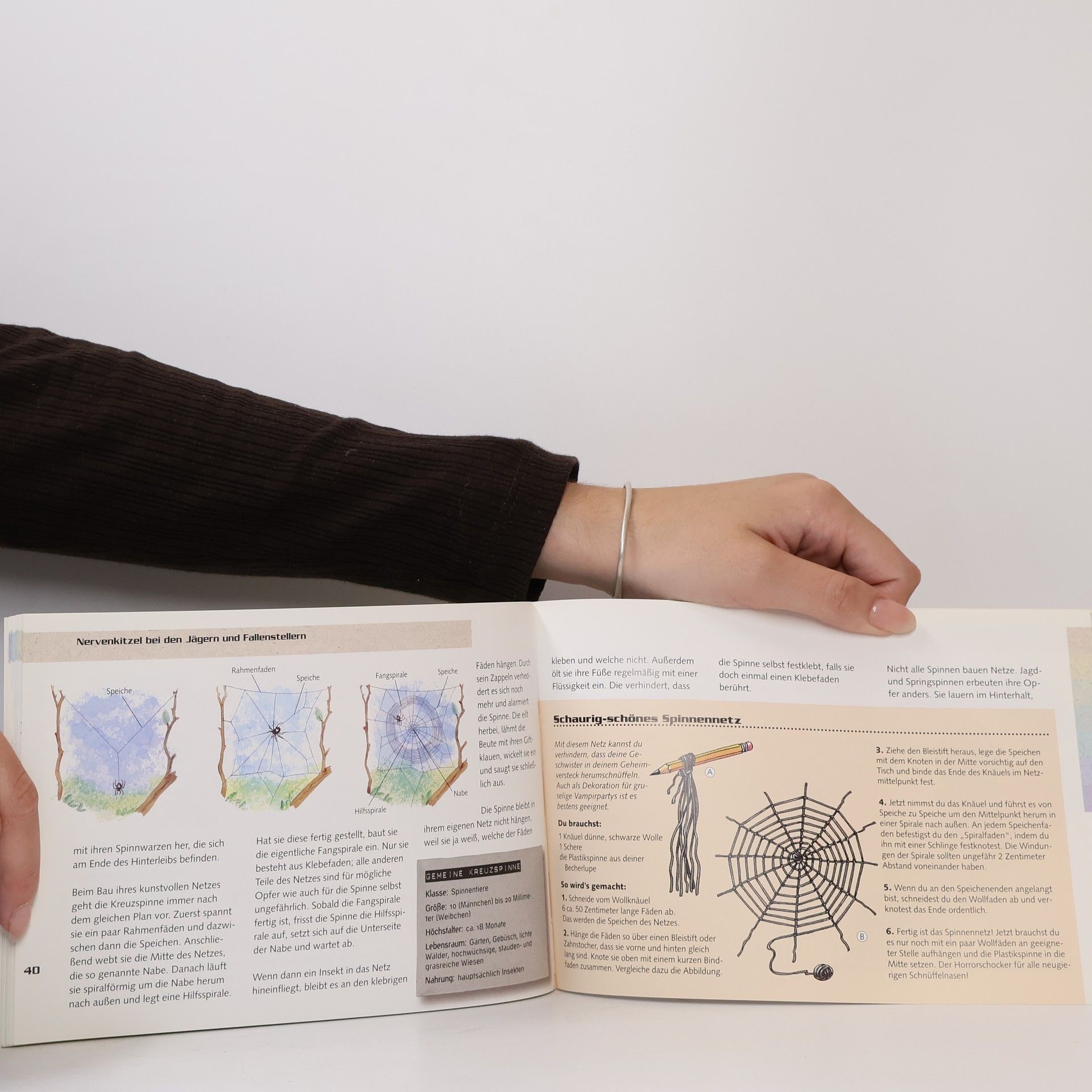 Andreas Hoffmann-Richter Das Becherlupen-Buch