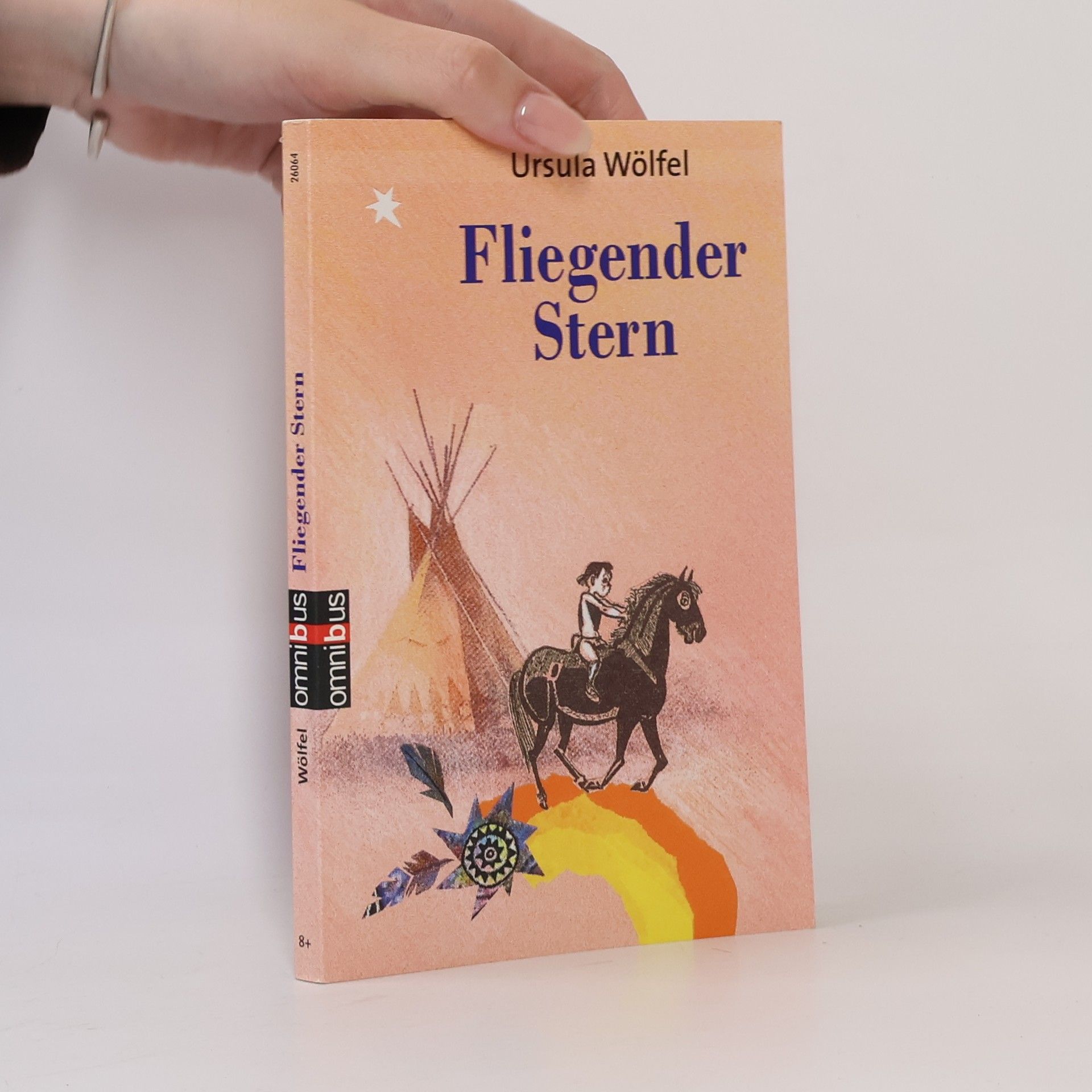 Ursula Wölfel Fliegender Stern