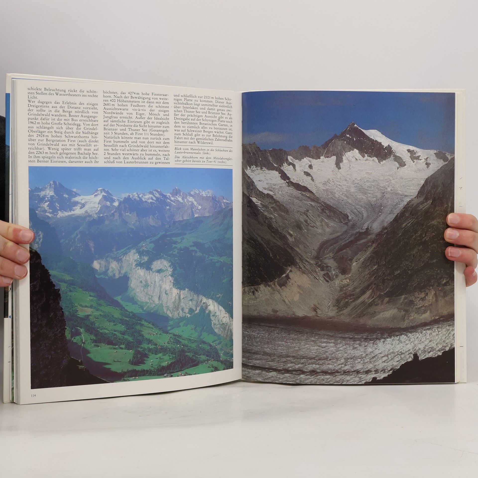 Dieter Maier Gipfel und Höhenwege der Alpen