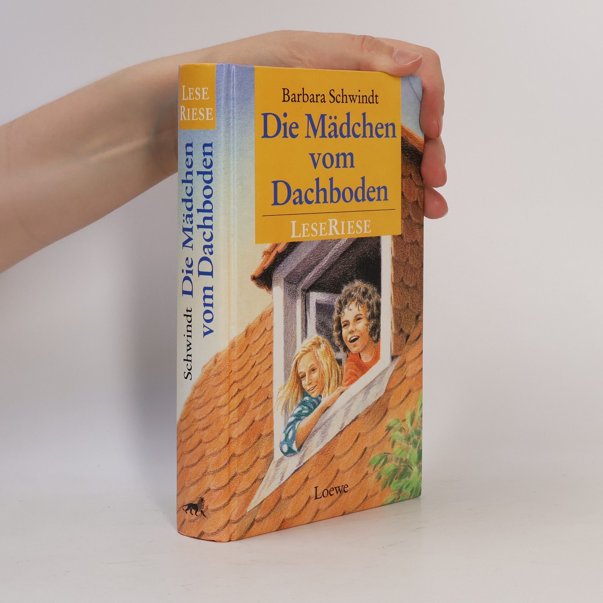 Barbara Schwindt Die Mädchen vom Dachboden
