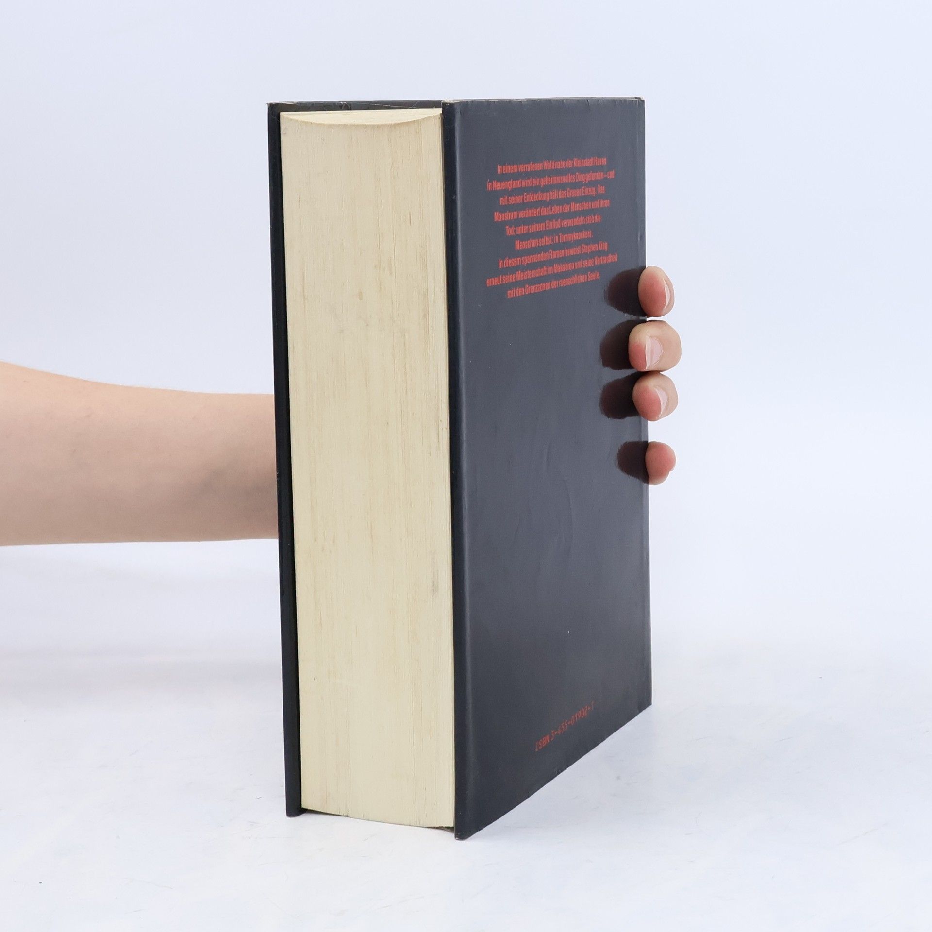 Stephen King Das Monstrum