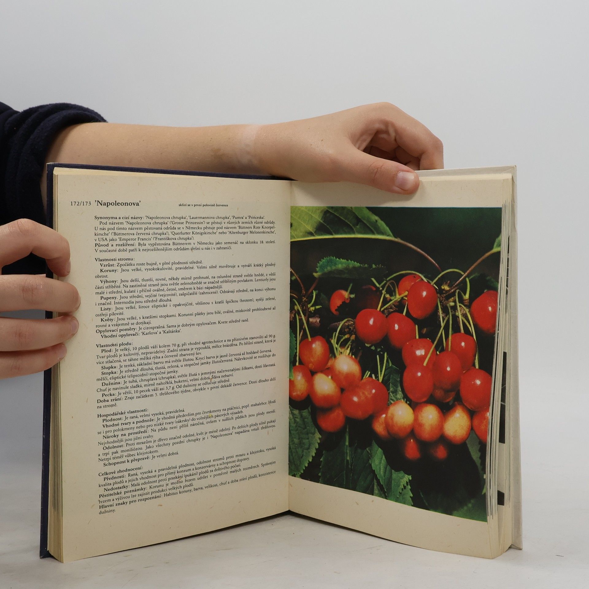 Antonín Dvořák Atlas odrůd ovoce
