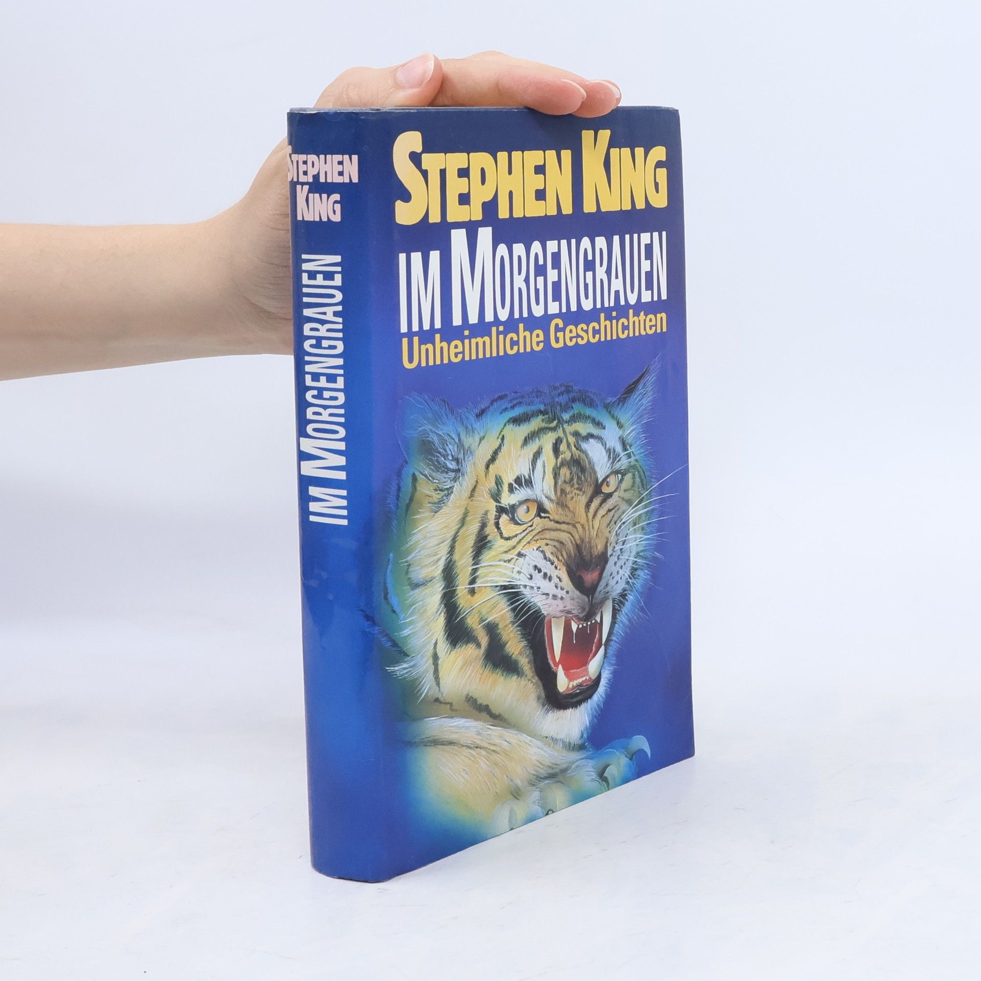 Stephen King Im Morgengrauen