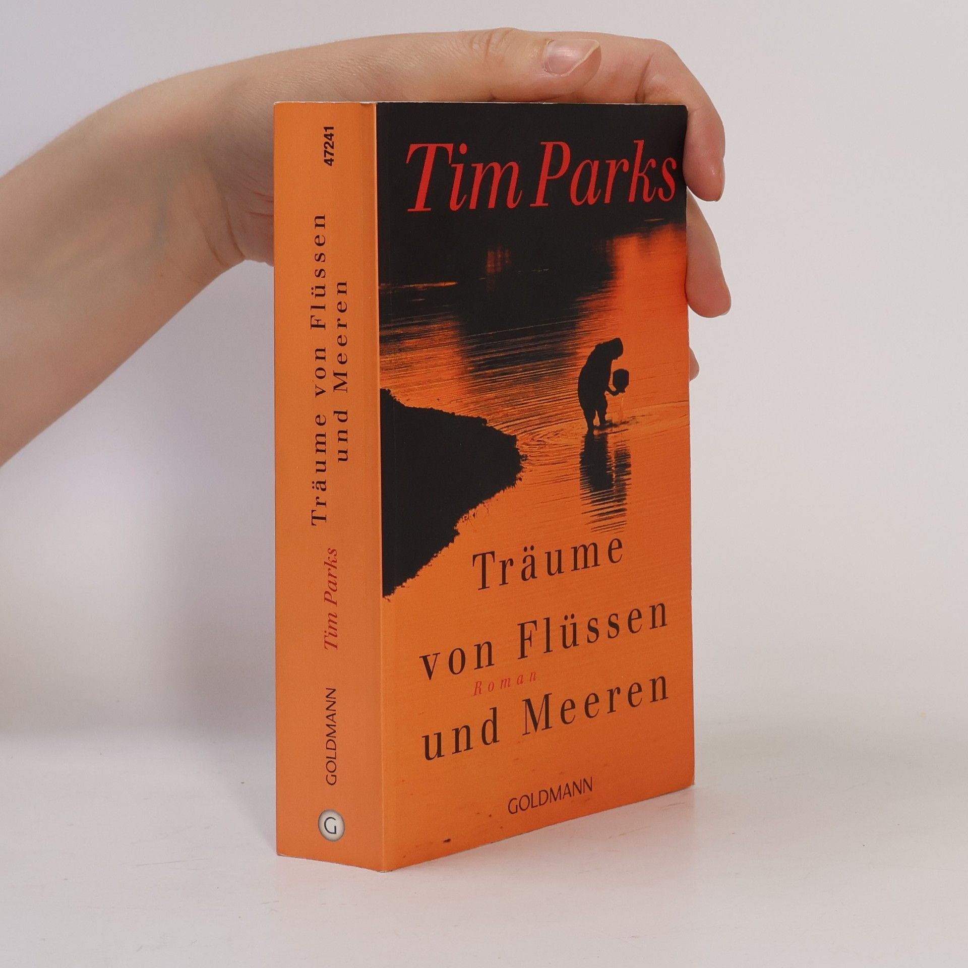 Tim Parks Träume von Flüssen und Meeren