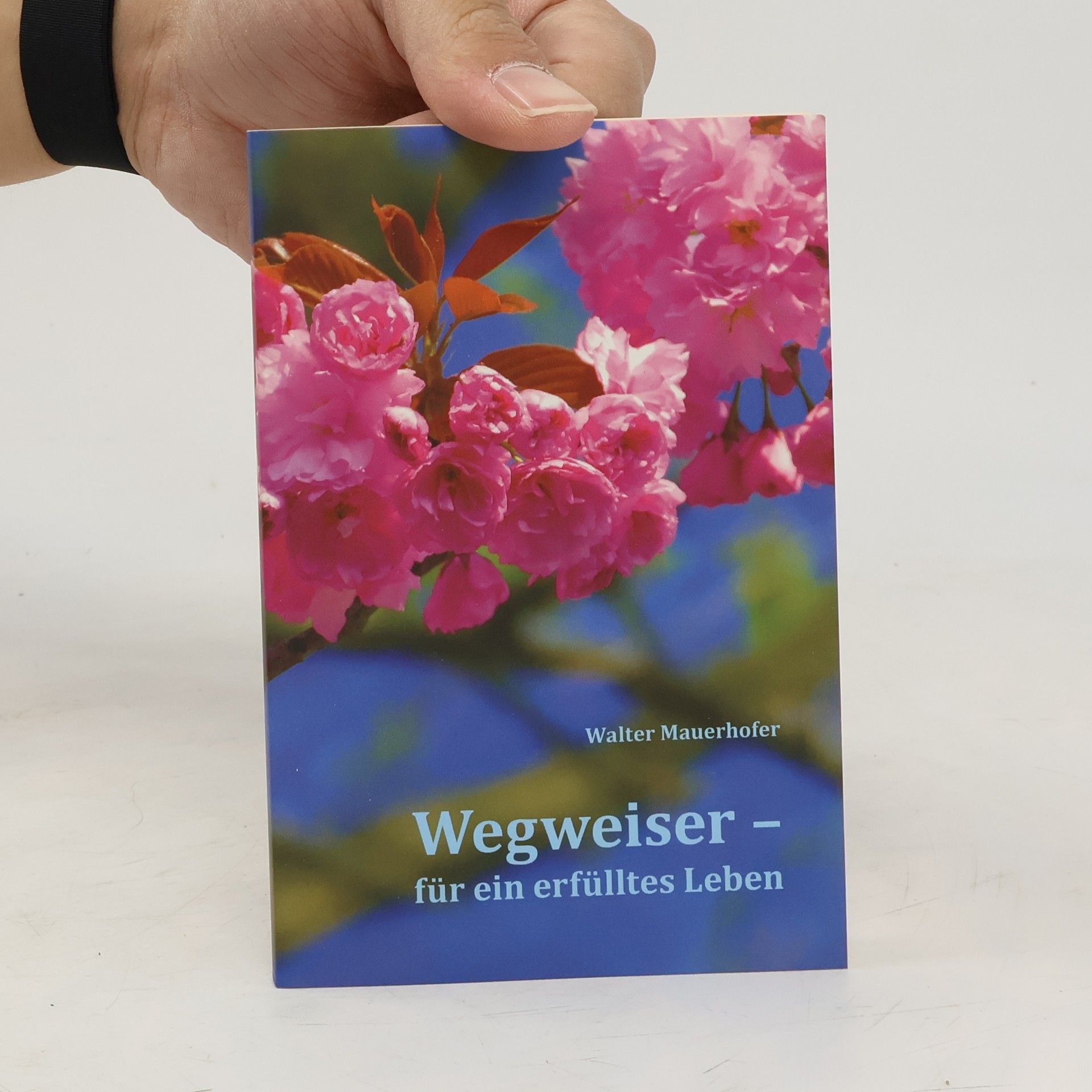 Walter Mauerhofer Wegweiser. Für ein erfülltes Leben