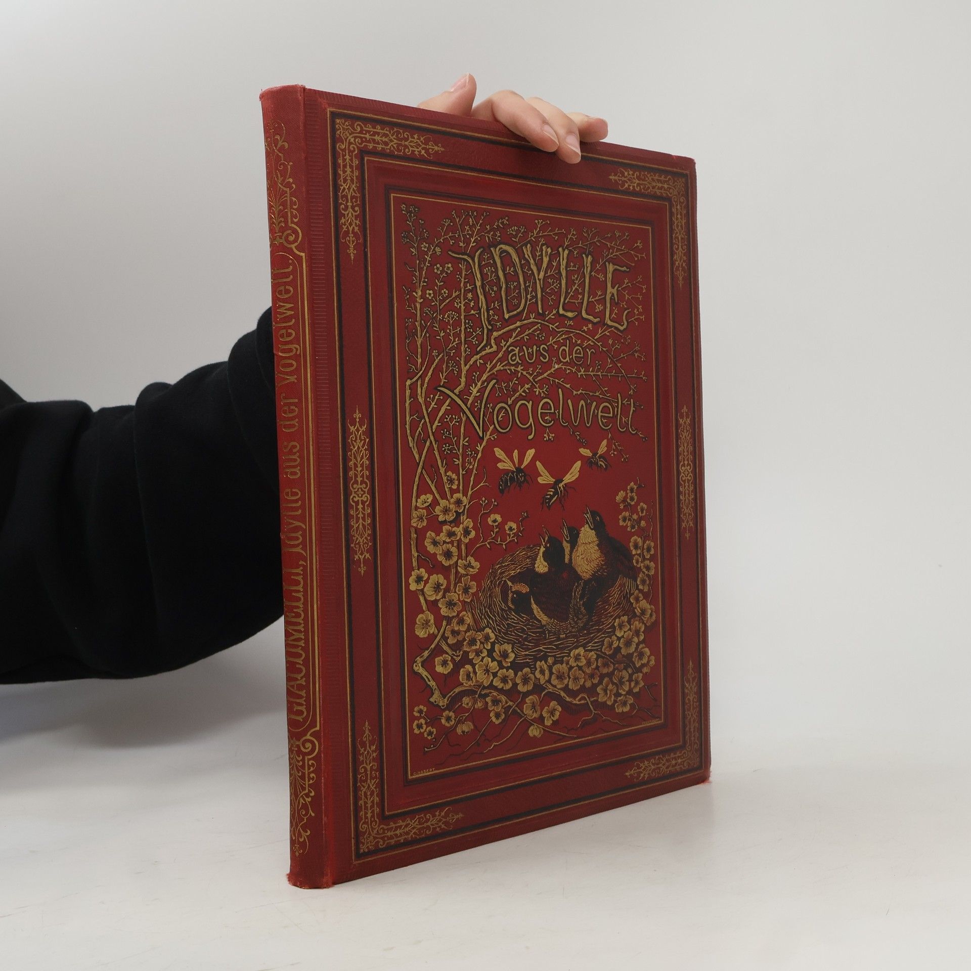 Collectif d'auteurs Idylle aus der Vogelwelt
