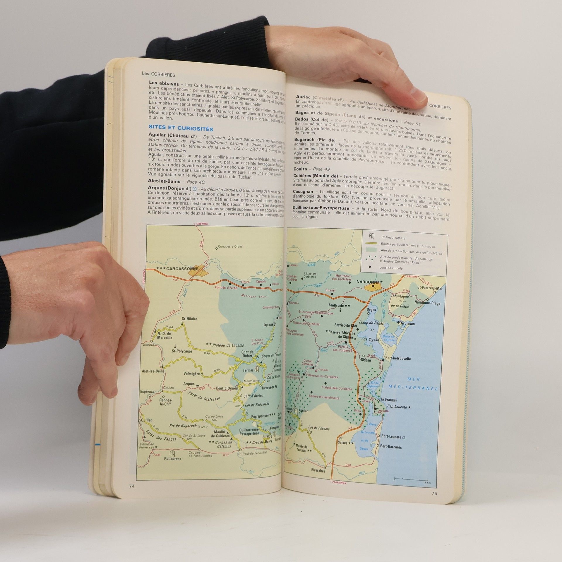 Autores varios Pyrénées, Roussillon, Albigeois