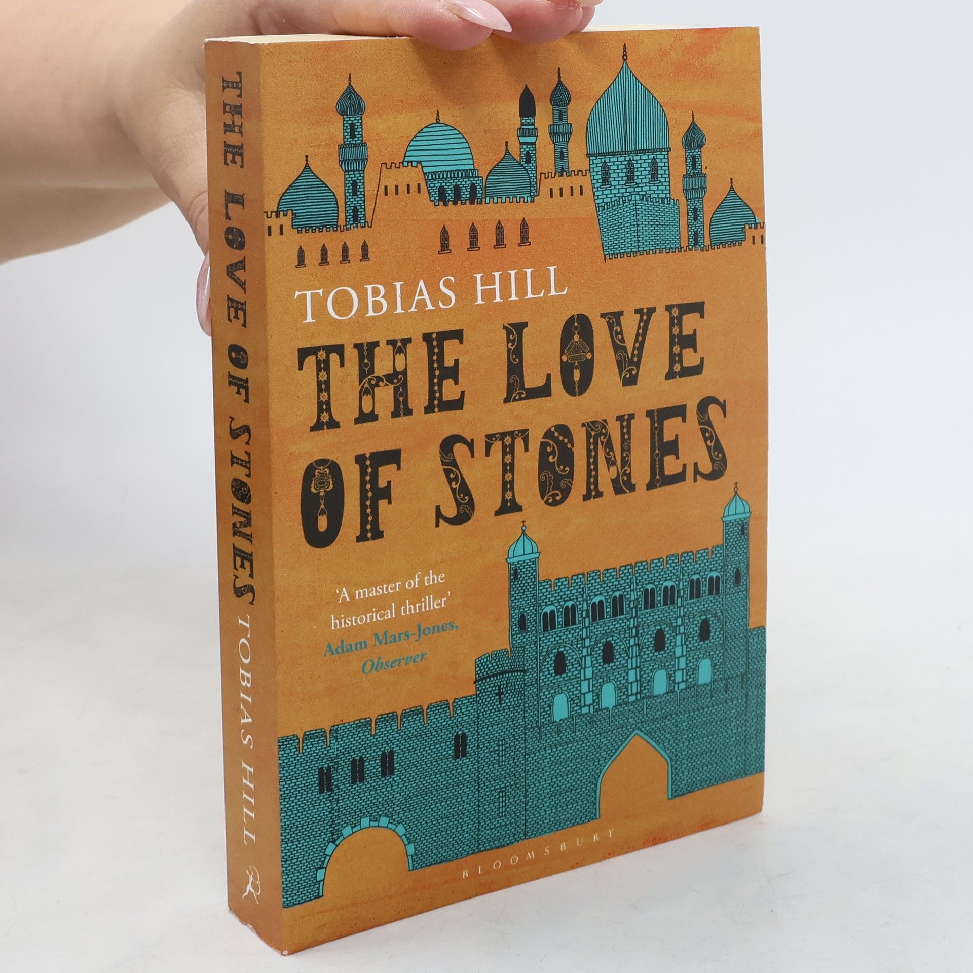 Tobias Hill The Love of Stones