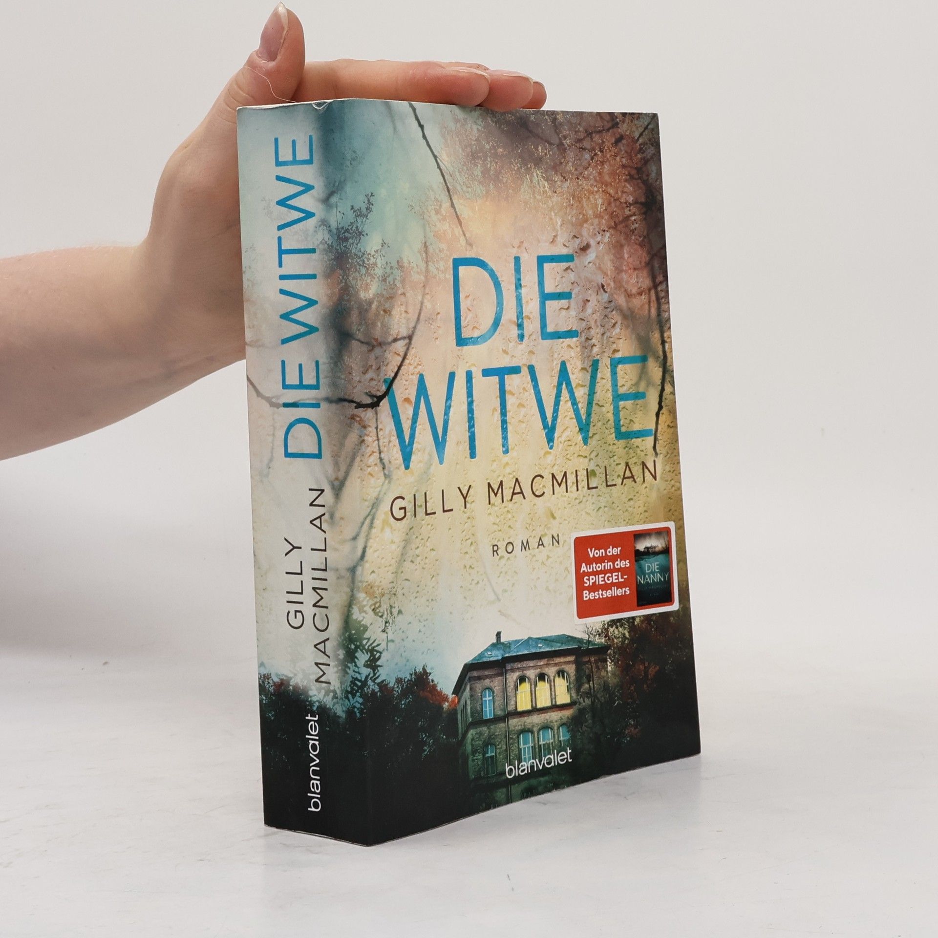 Gilly Macmillan Die Witwe