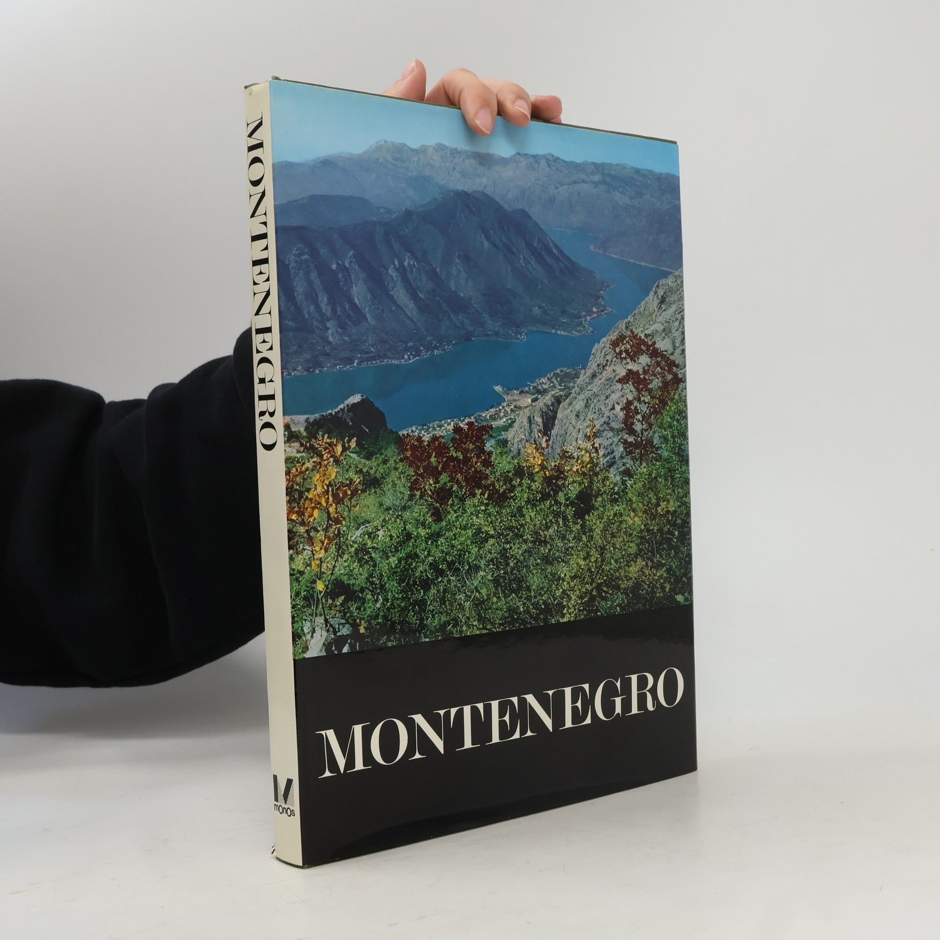 Kolektiv autorů Montenegro