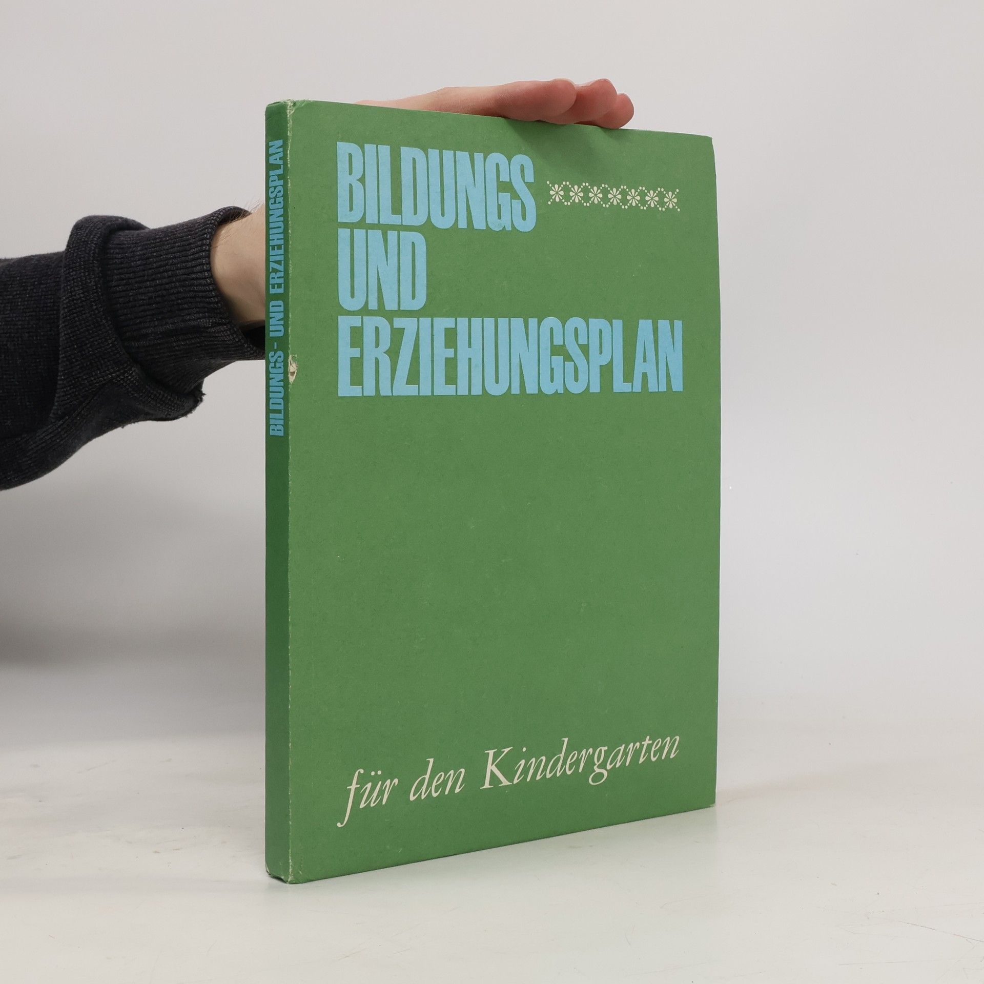 Autorenkollektiv Bildungs-und Erziehungsplan für den Kindergarten