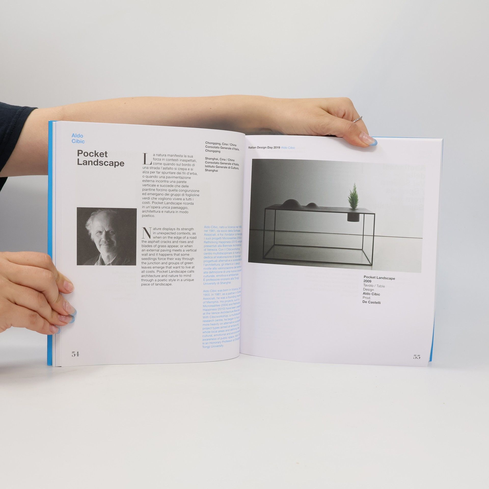 Various authors Il Design e la città del futuro. Qualità della vita e nuove frontiere dell' abitare. Design and the City of the Future. Quality of Life and New Frontiers for Living