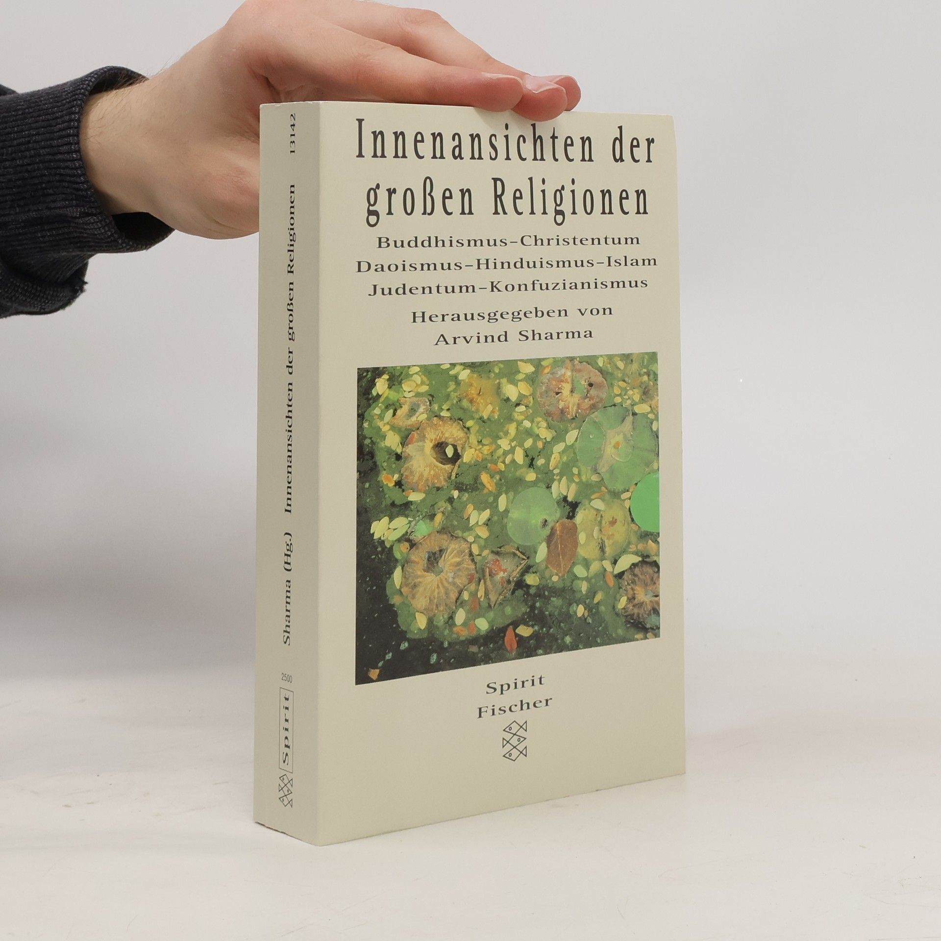 Arvind Sharma Innenansichten der grossen Religionen