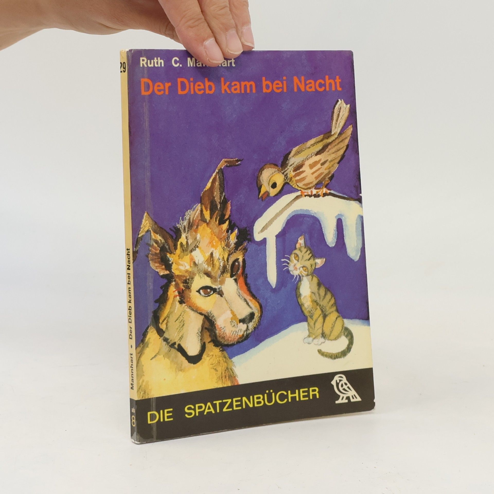 Der Dieb kam bei Nacht