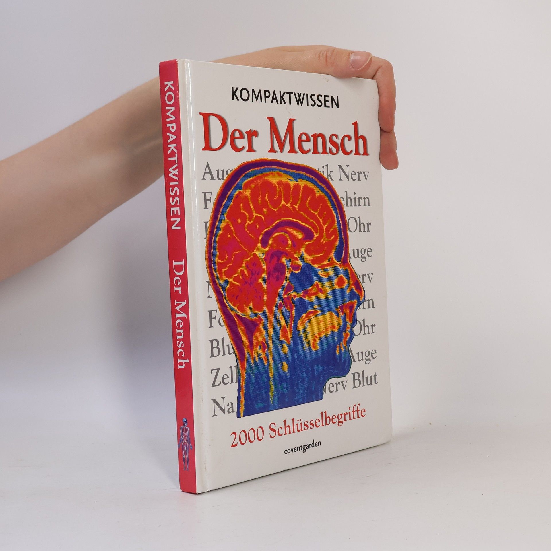 David Burnie Kompaktwissen der Mensch