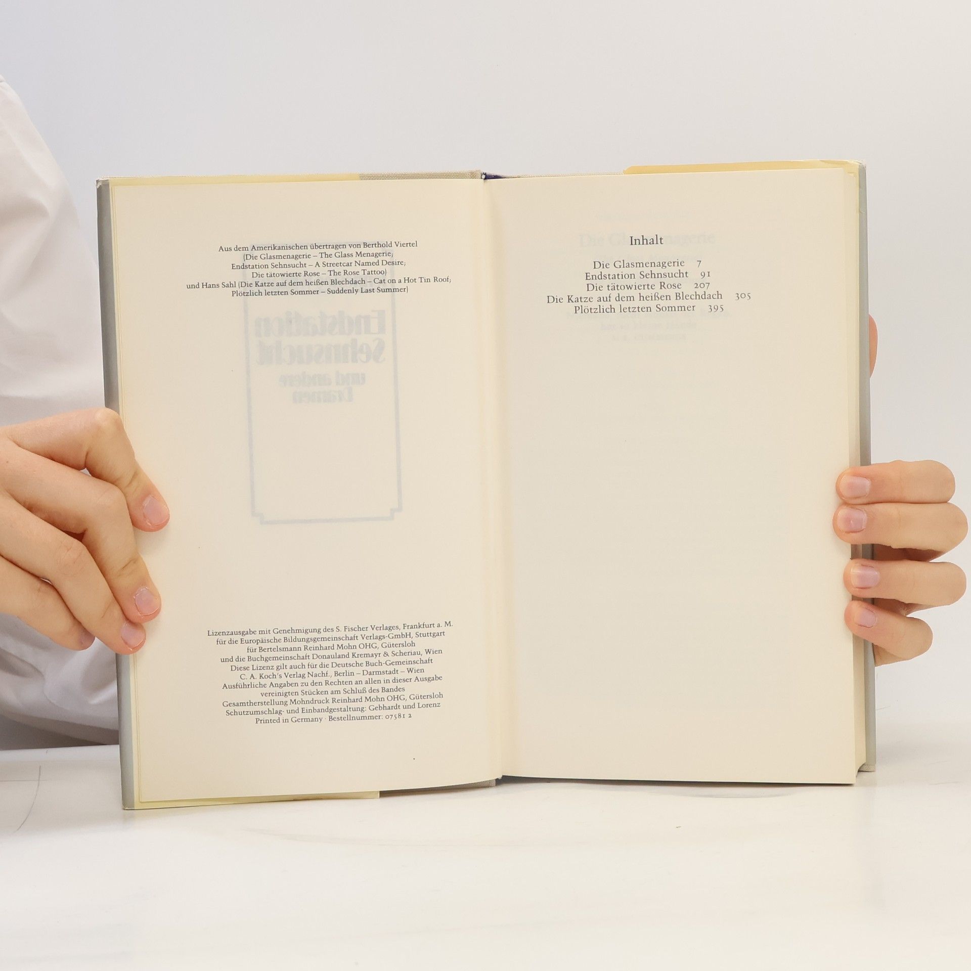 Tennessee Williams Endstation Sehnsucht und andere Dramen