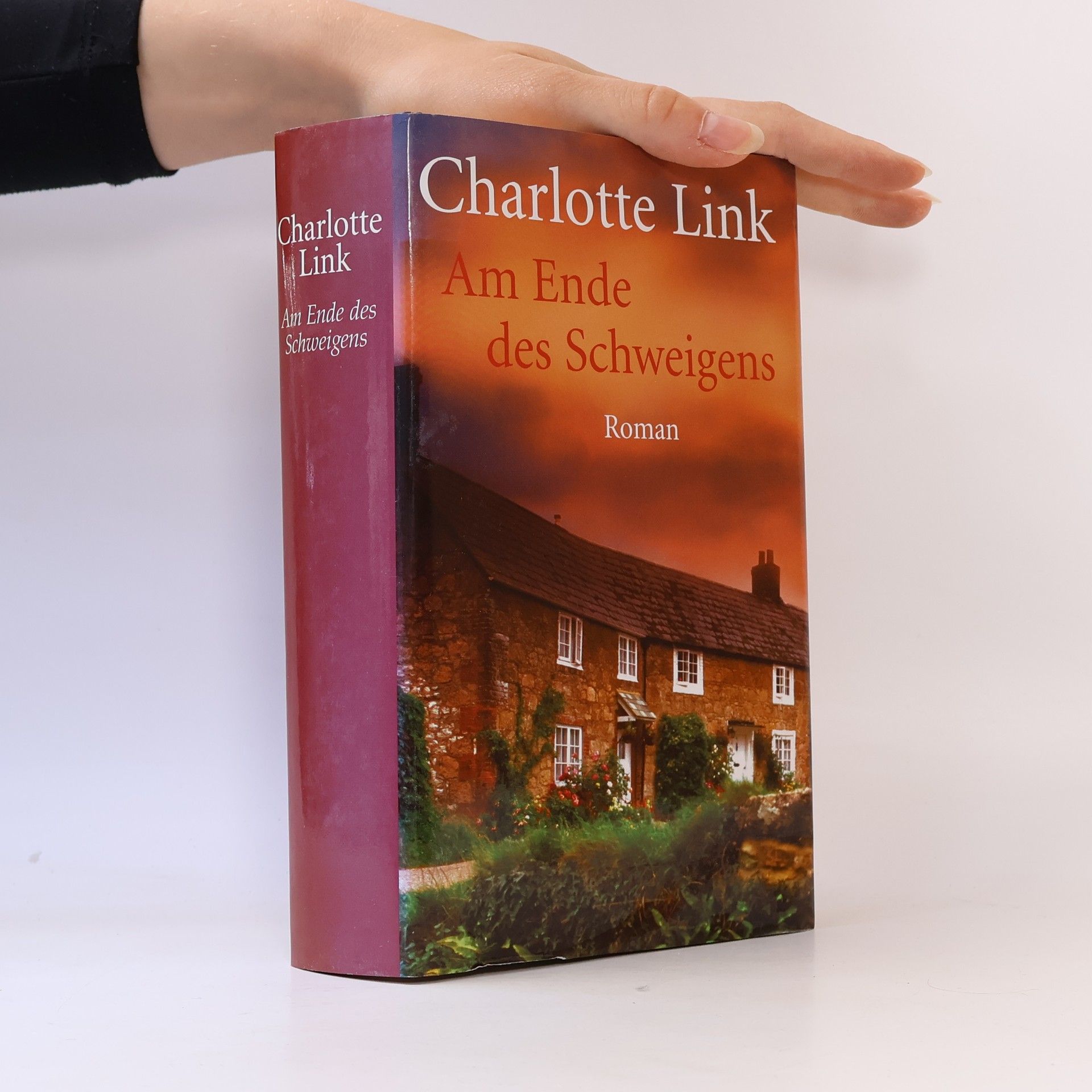 Charlotte Link Am Ende des Schweigens