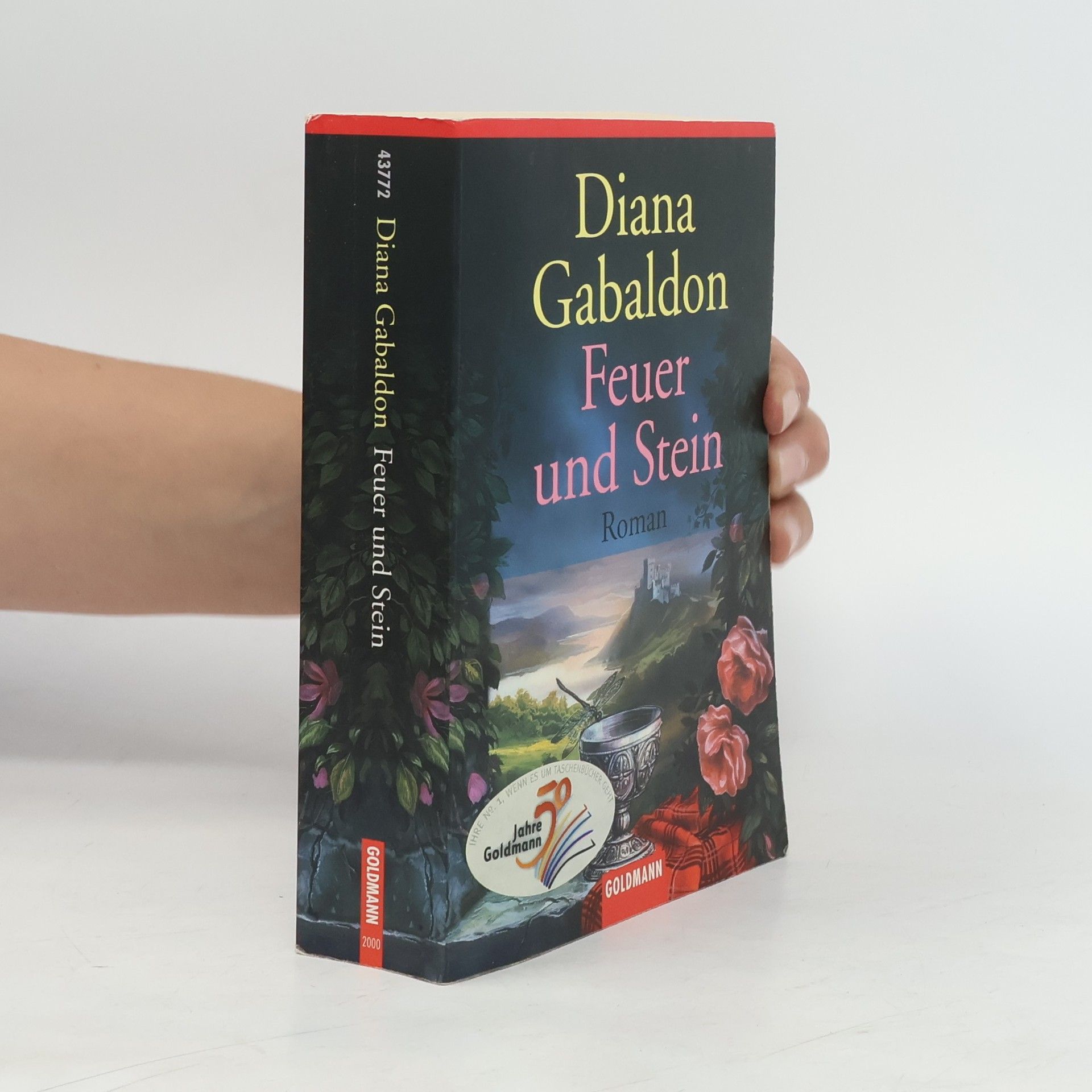 Diana Gabaldon Feuer und Stein