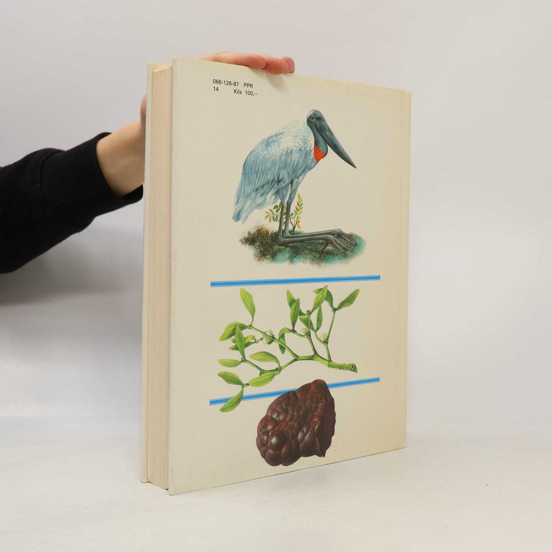 Autores varios Pestrá príroda