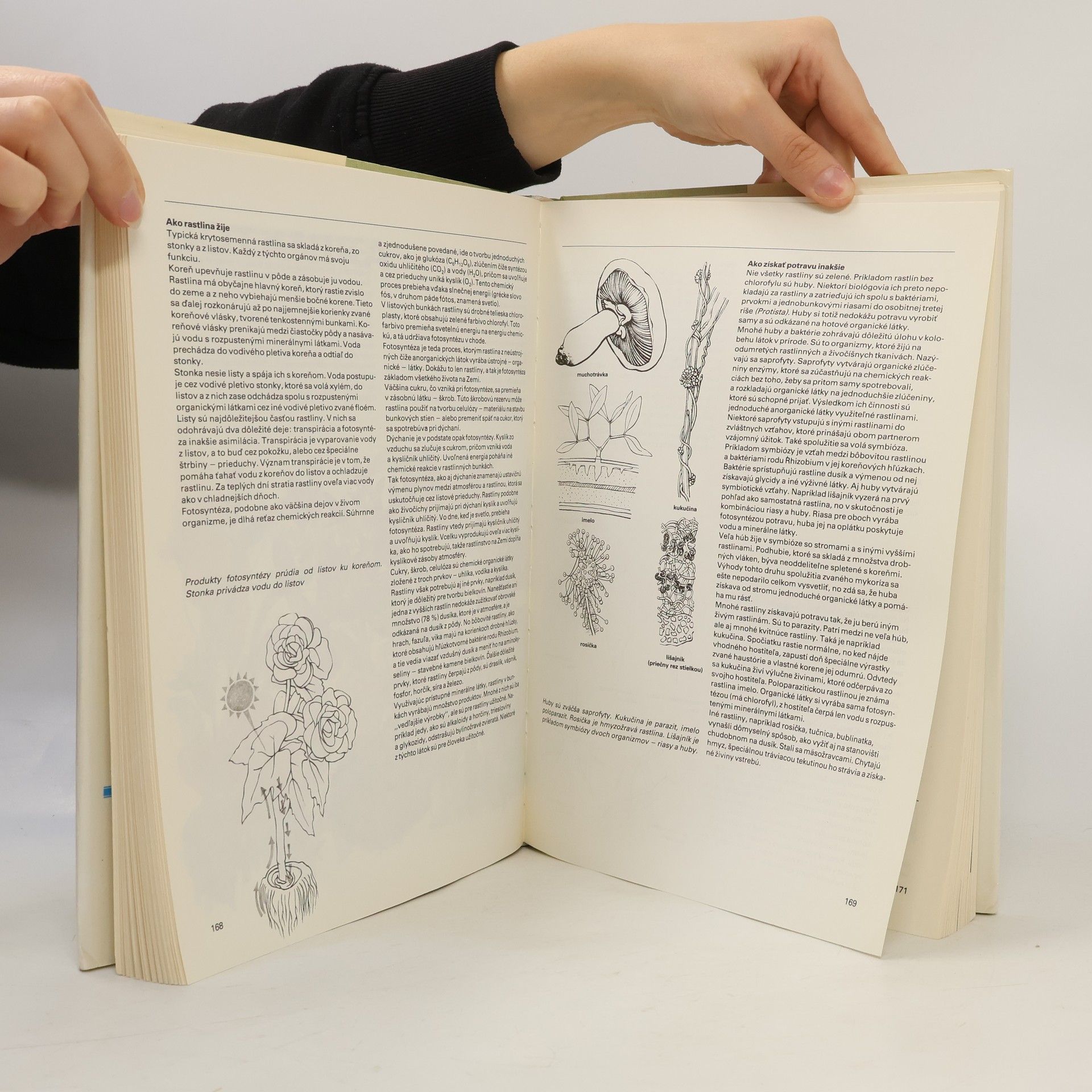 Autores varios Pestrá príroda