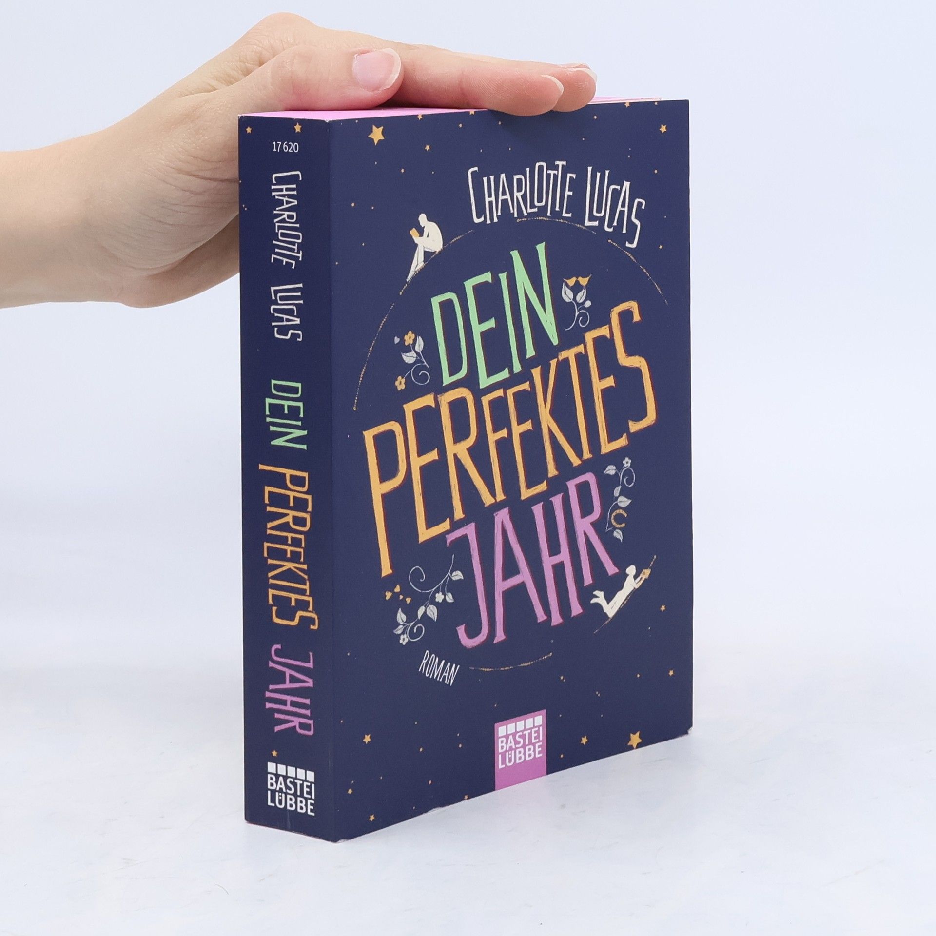 Charlotte Lucas Dein perfektes Jahr