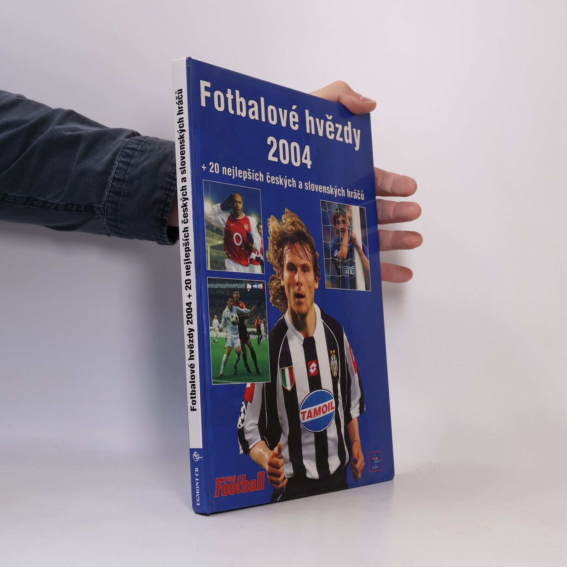 Fotbalové hvězdy 2004
