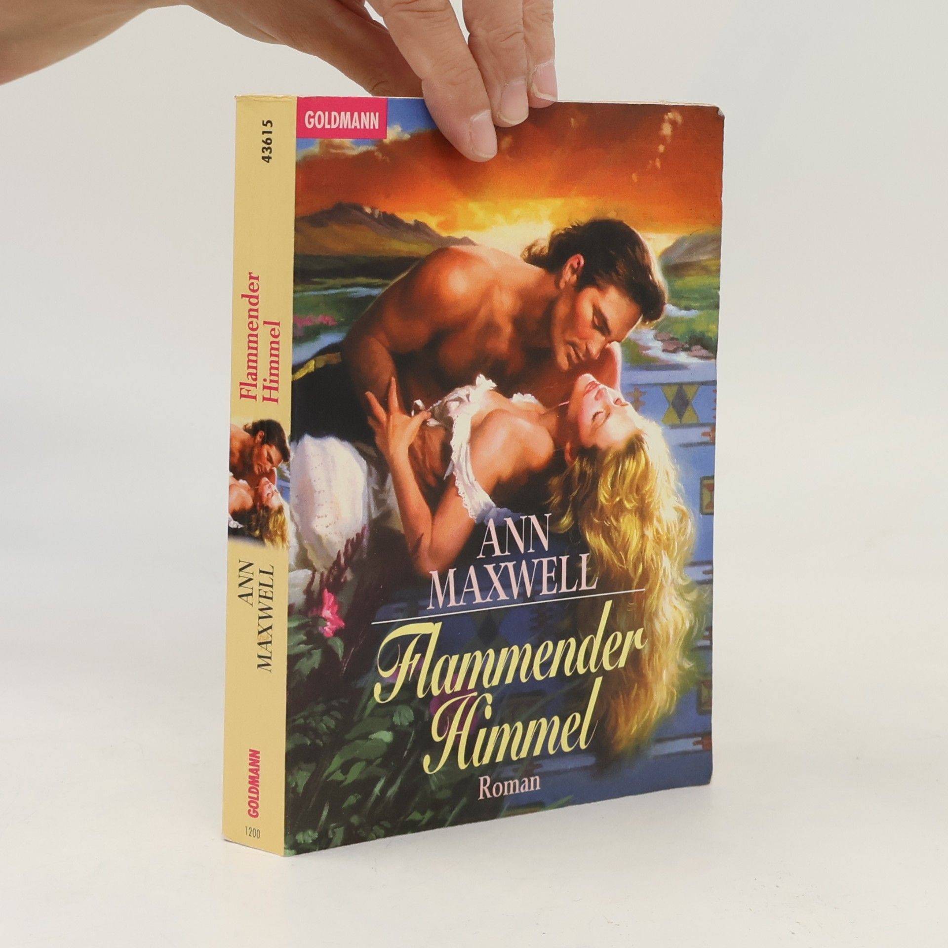 Ann Maxwell Flammender Himmel