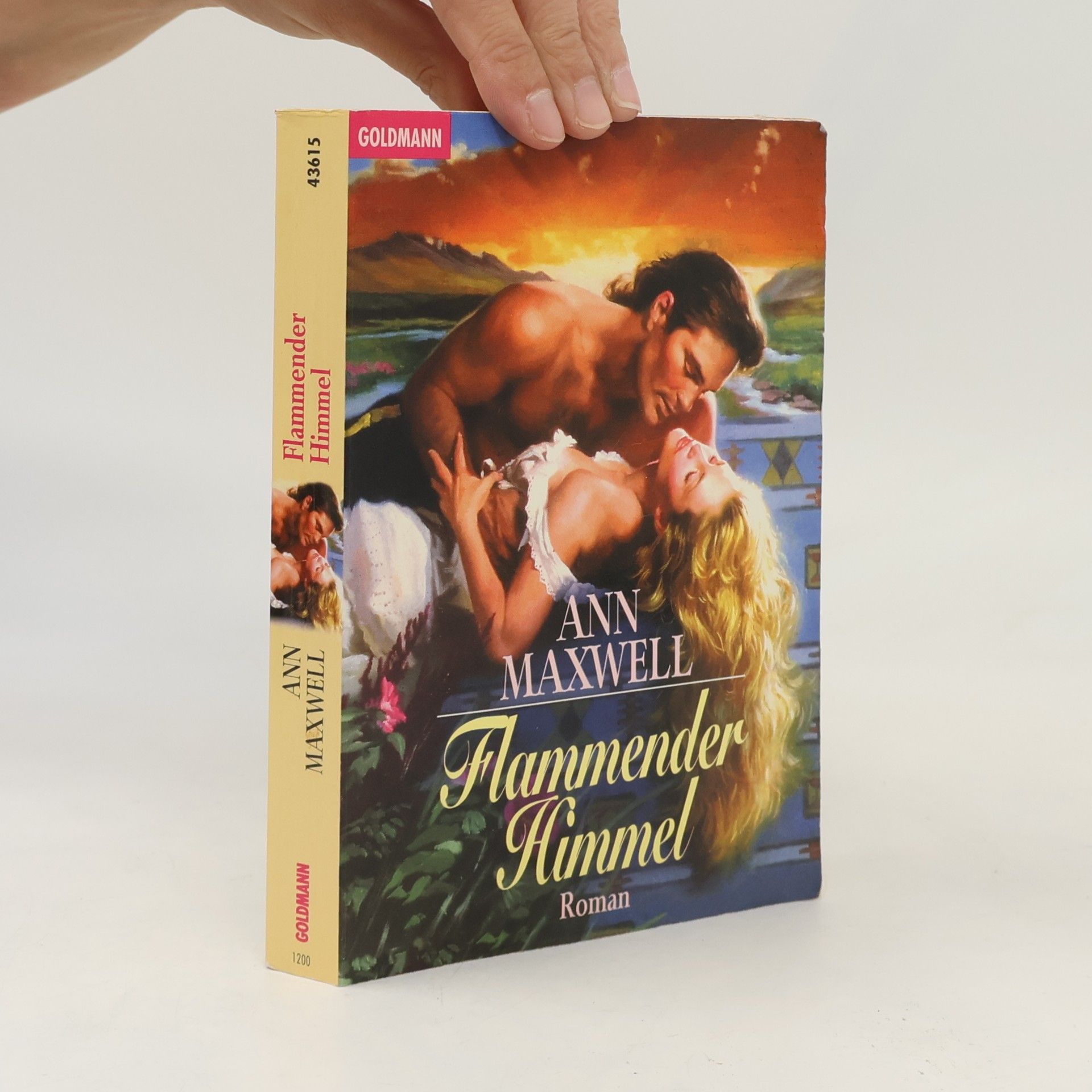 Ann Maxwell Flammender Himmel