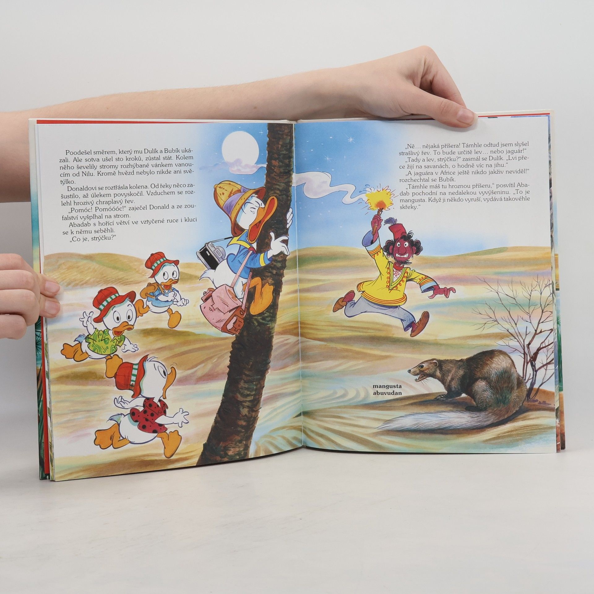 Walt Disney Nástrahy na březích Nilu