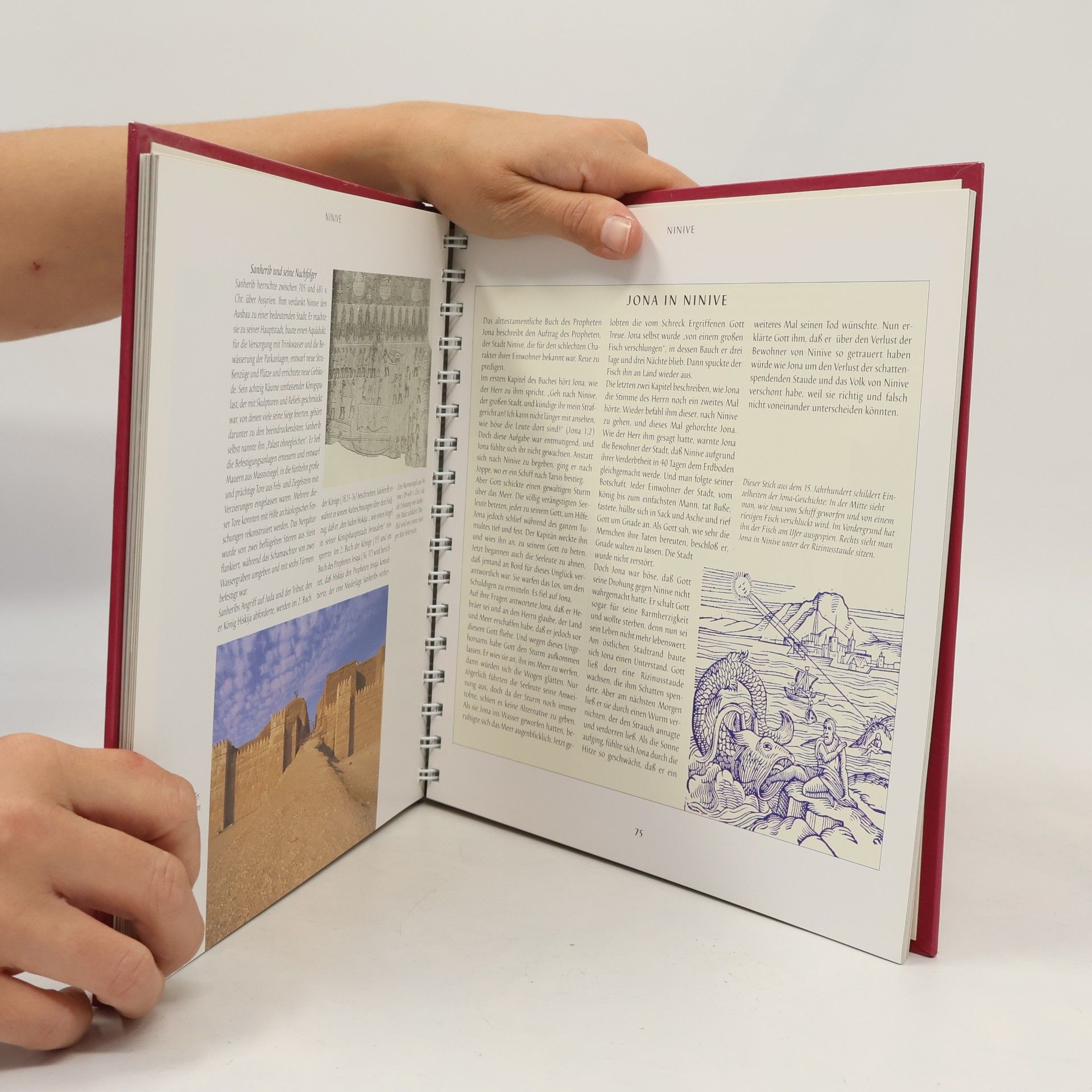 Jenny Roberts Biblische Stätten