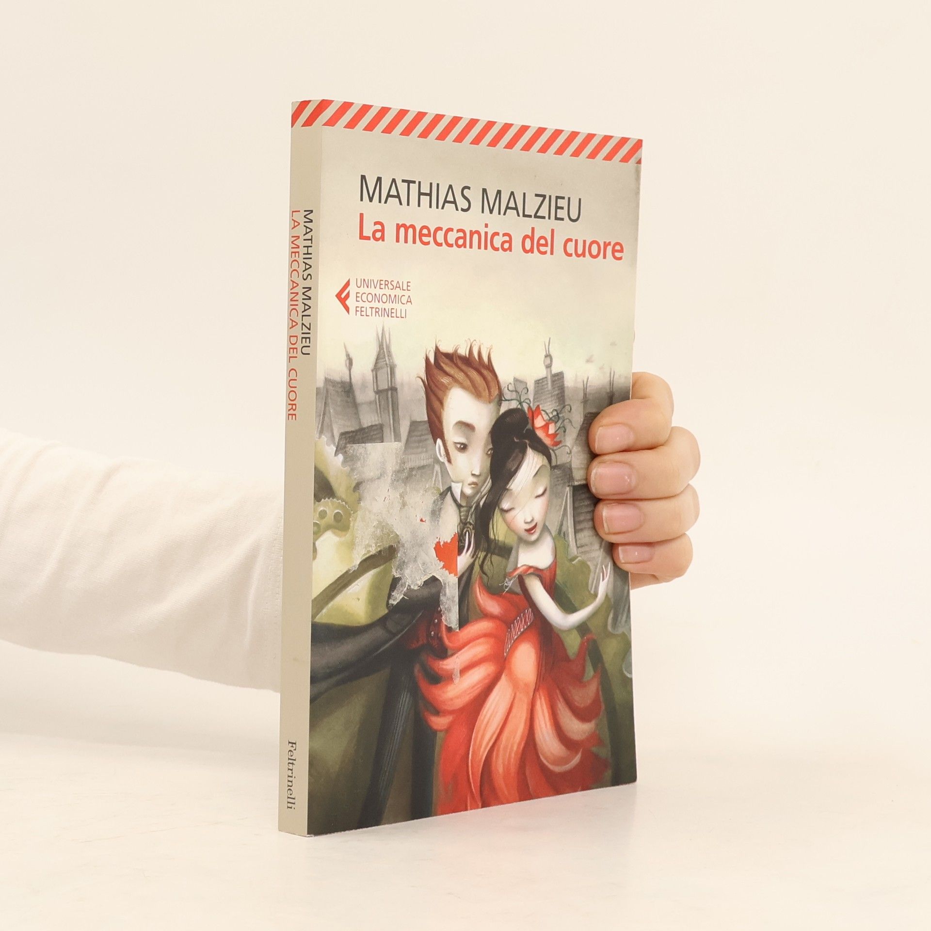 Mathias Malzieu La meccanica del cuore