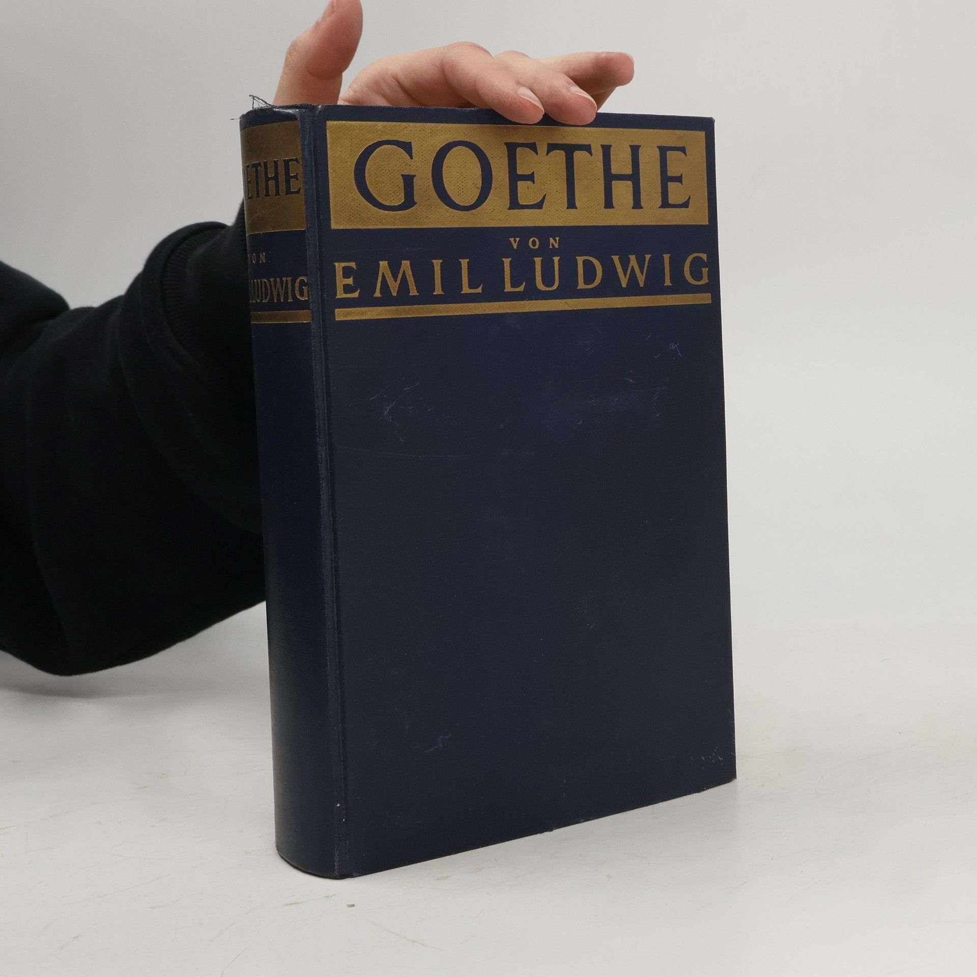 Emil Ludwig Goethe