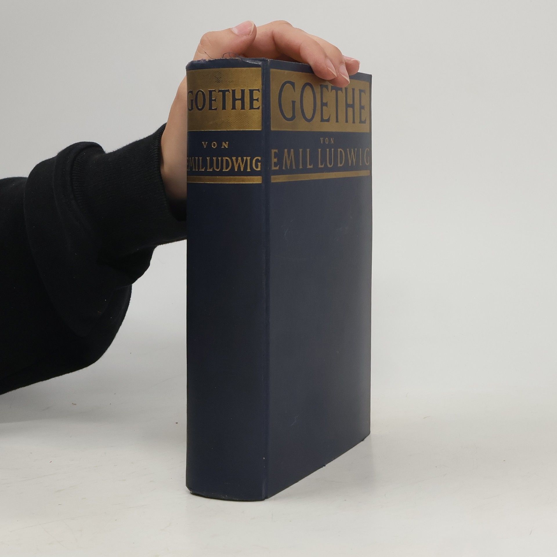 Emil Ludwig Goethe