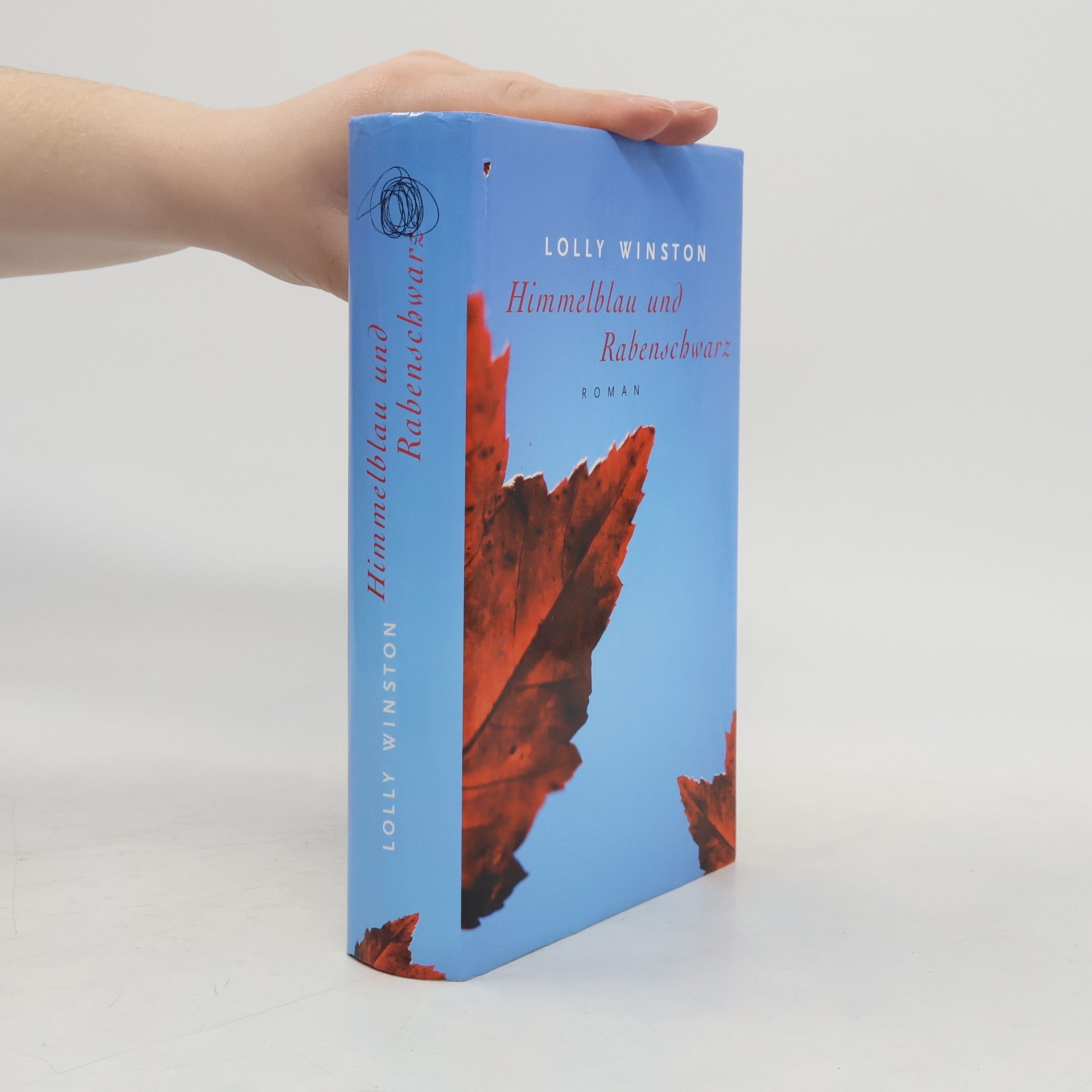 Lolly Winston Himmelblau und Rabenschwarz