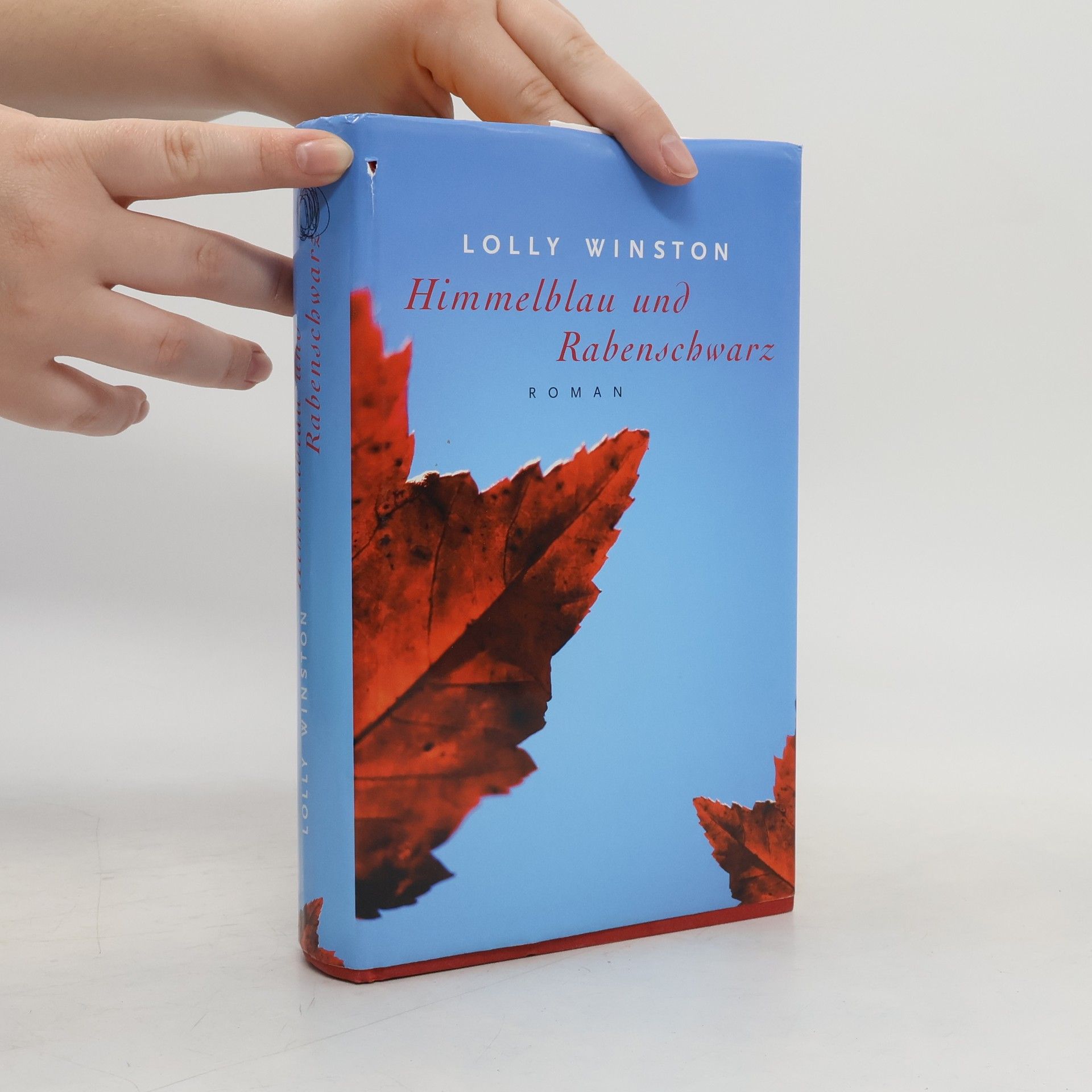 Lolly Winston Himmelblau und Rabenschwarz