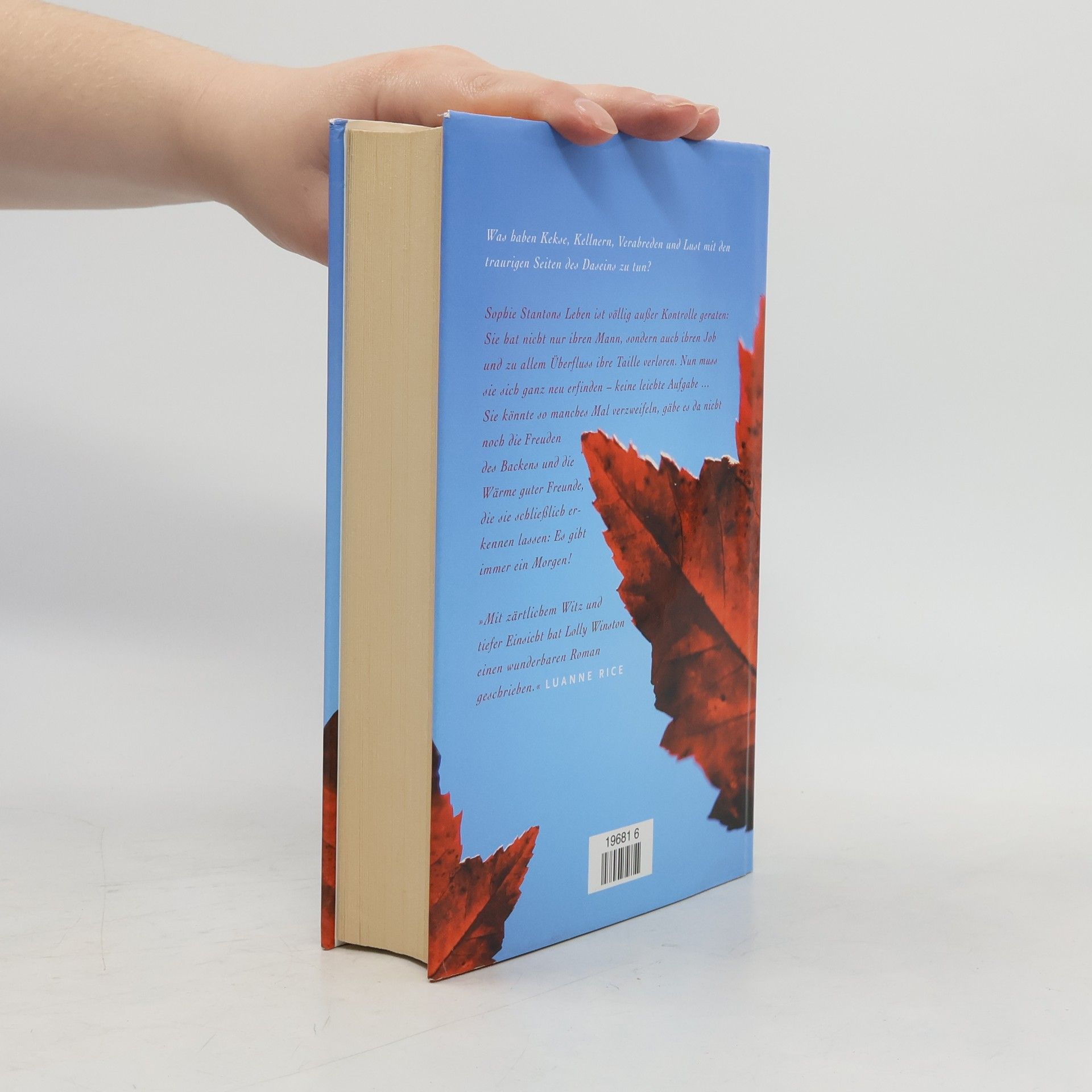 Lolly Winston Himmelblau und Rabenschwarz