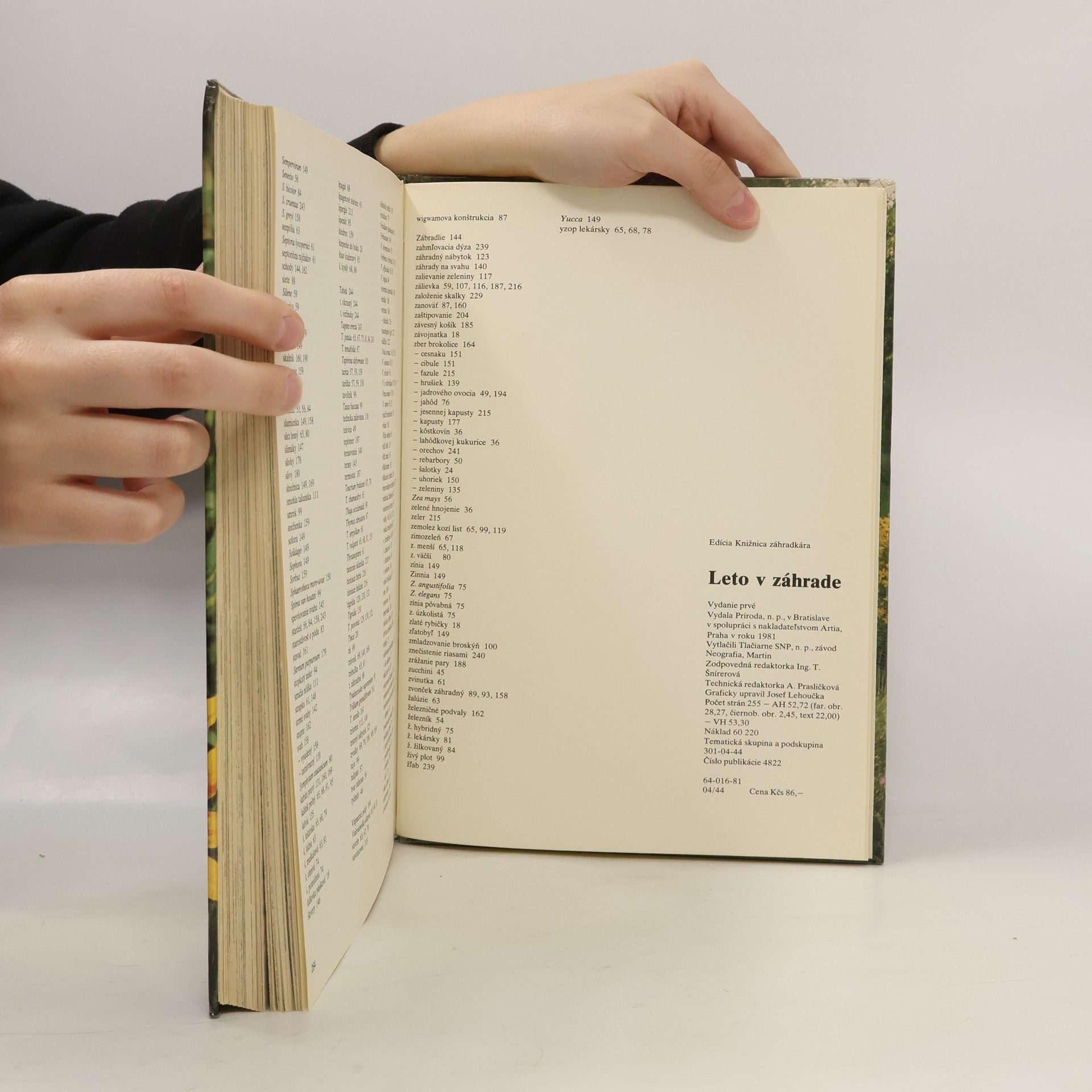 Autorenkollektiv Leto v záhrade