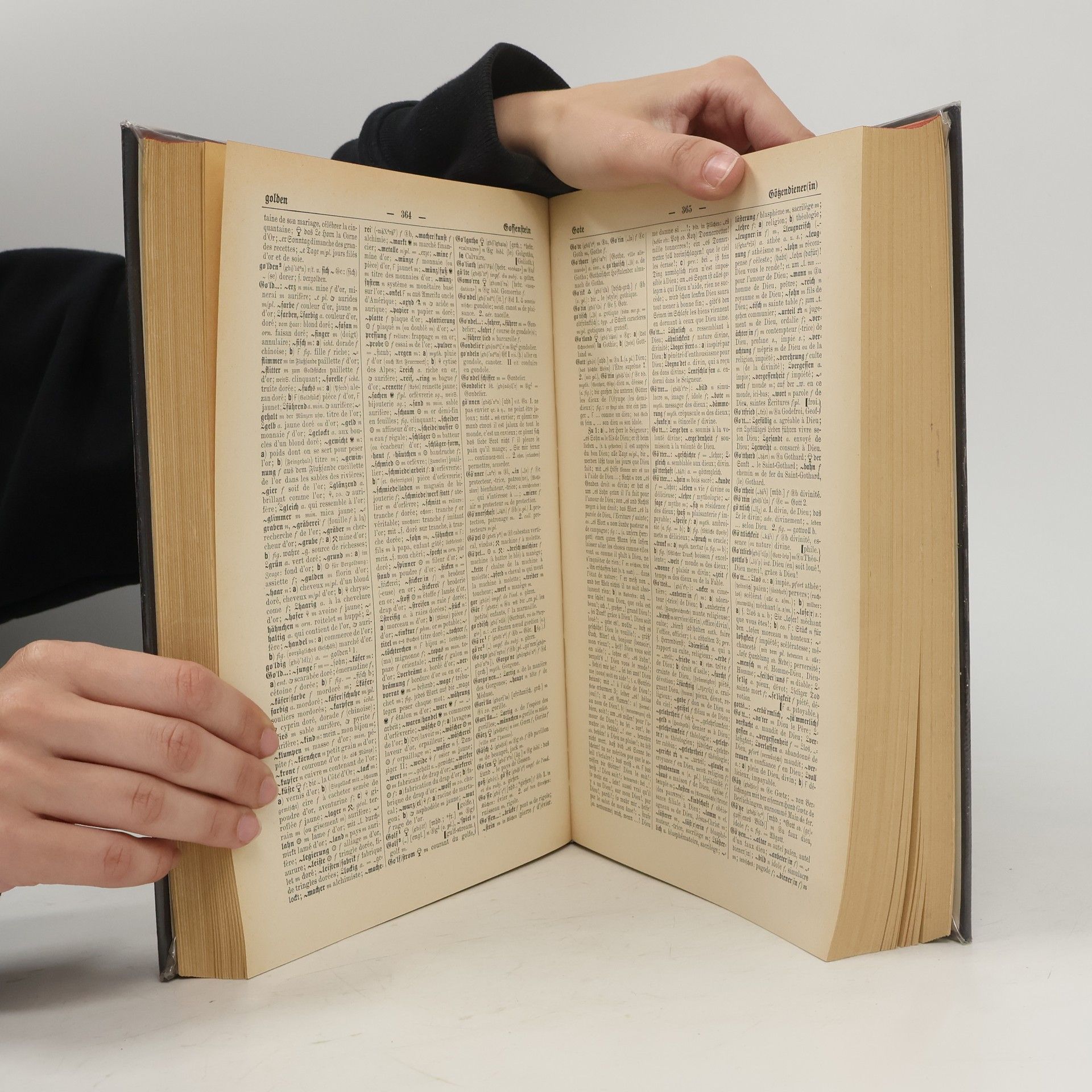 Kolektiv autorů Sachs-Villatte Enzyklopädisches Wörterbuch 2. Deutsch-Französisch
